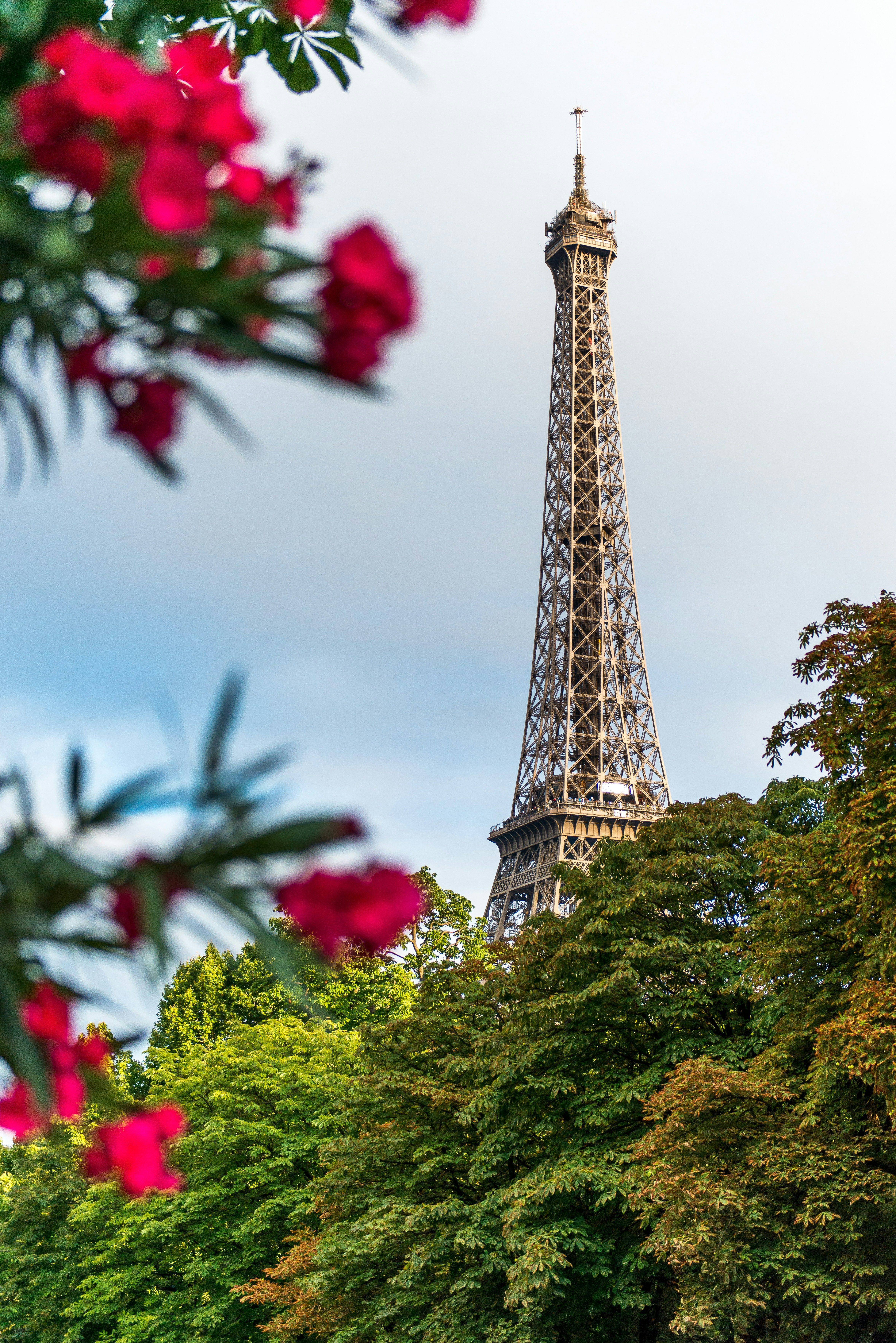 4714x7063 Wallpaper inspired by Paris for iPhone