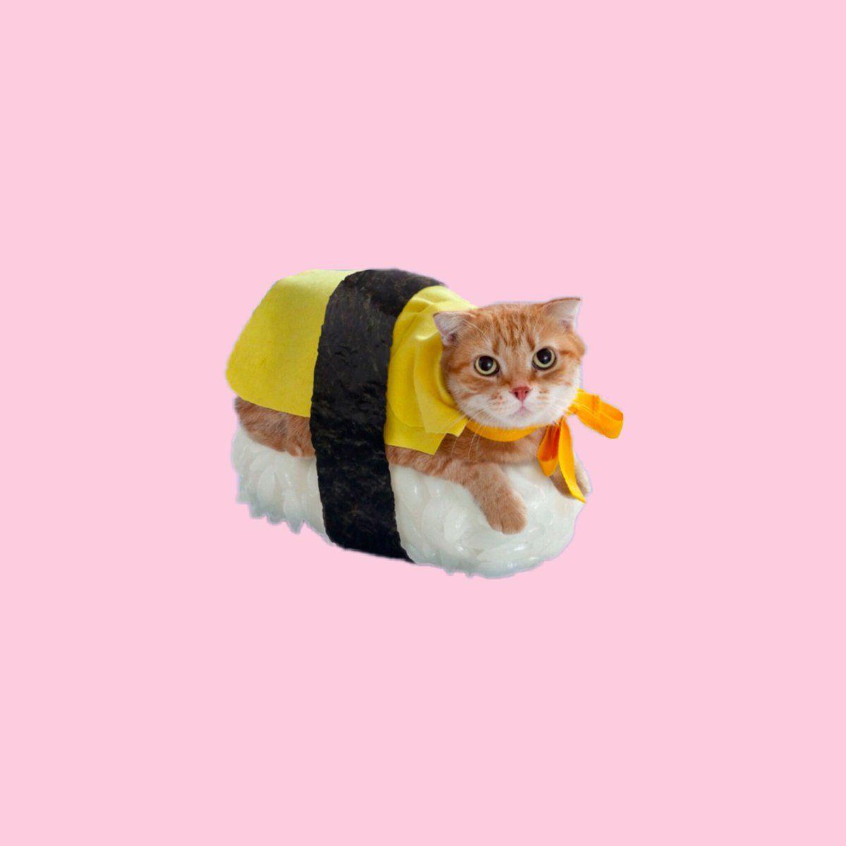 1200x1200 Mini this sushi