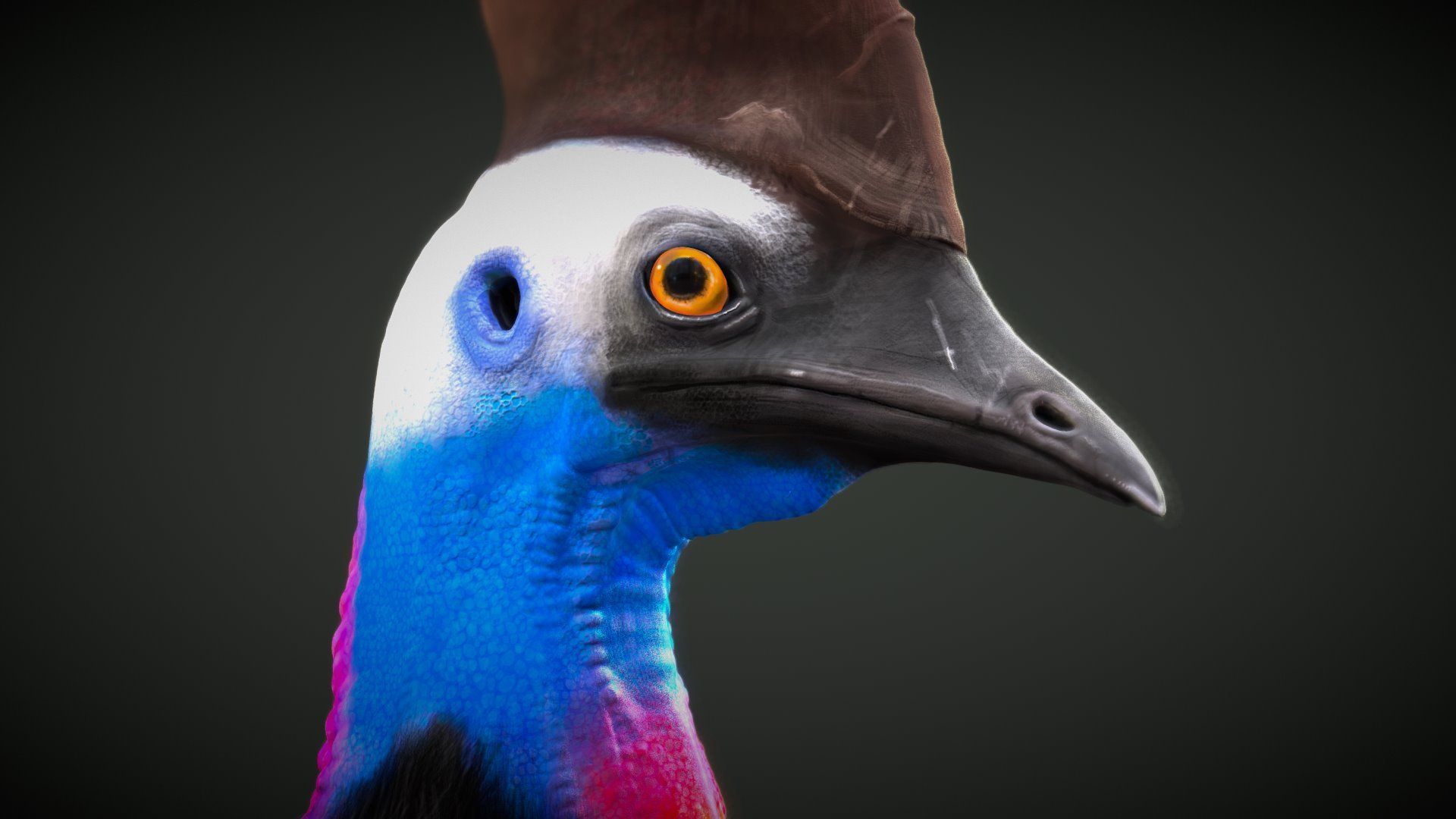 1920x1080 Cassowary model