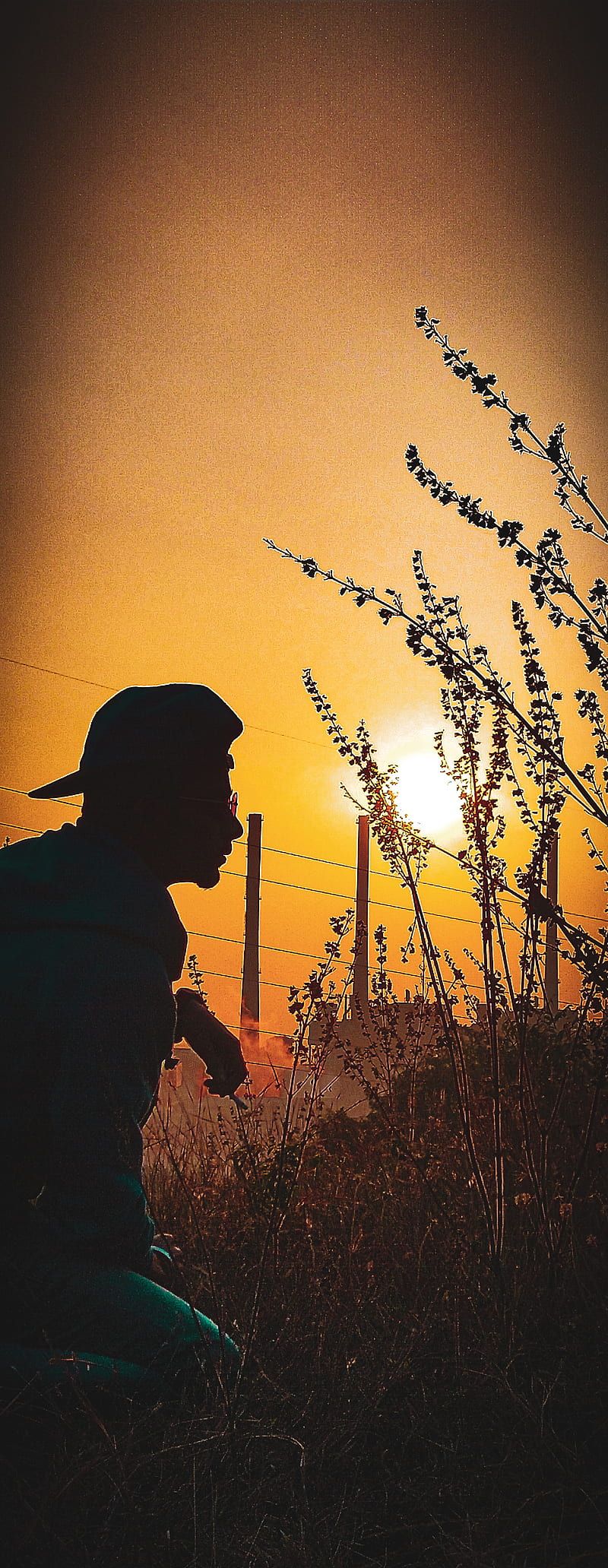 800x2063 HD phone wallpaper
