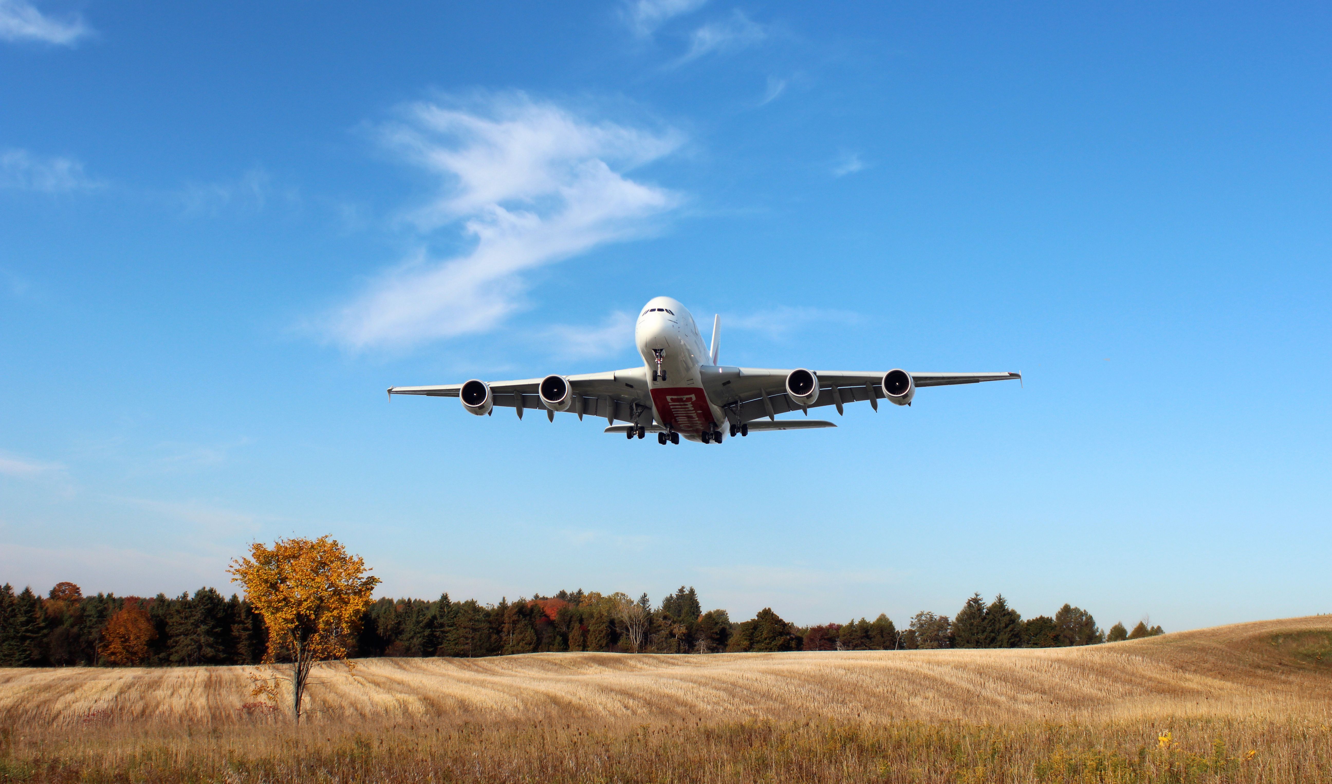 5184x3052 plane, Trees, Day, A Landing