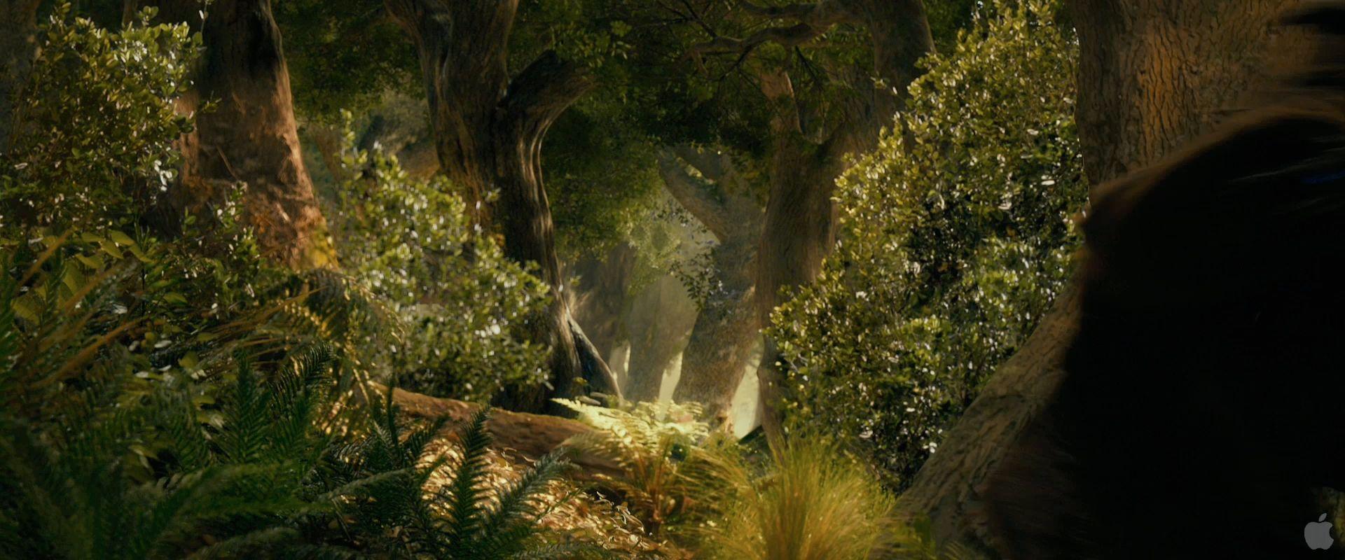1920x800 Mirkwood Wallpaper