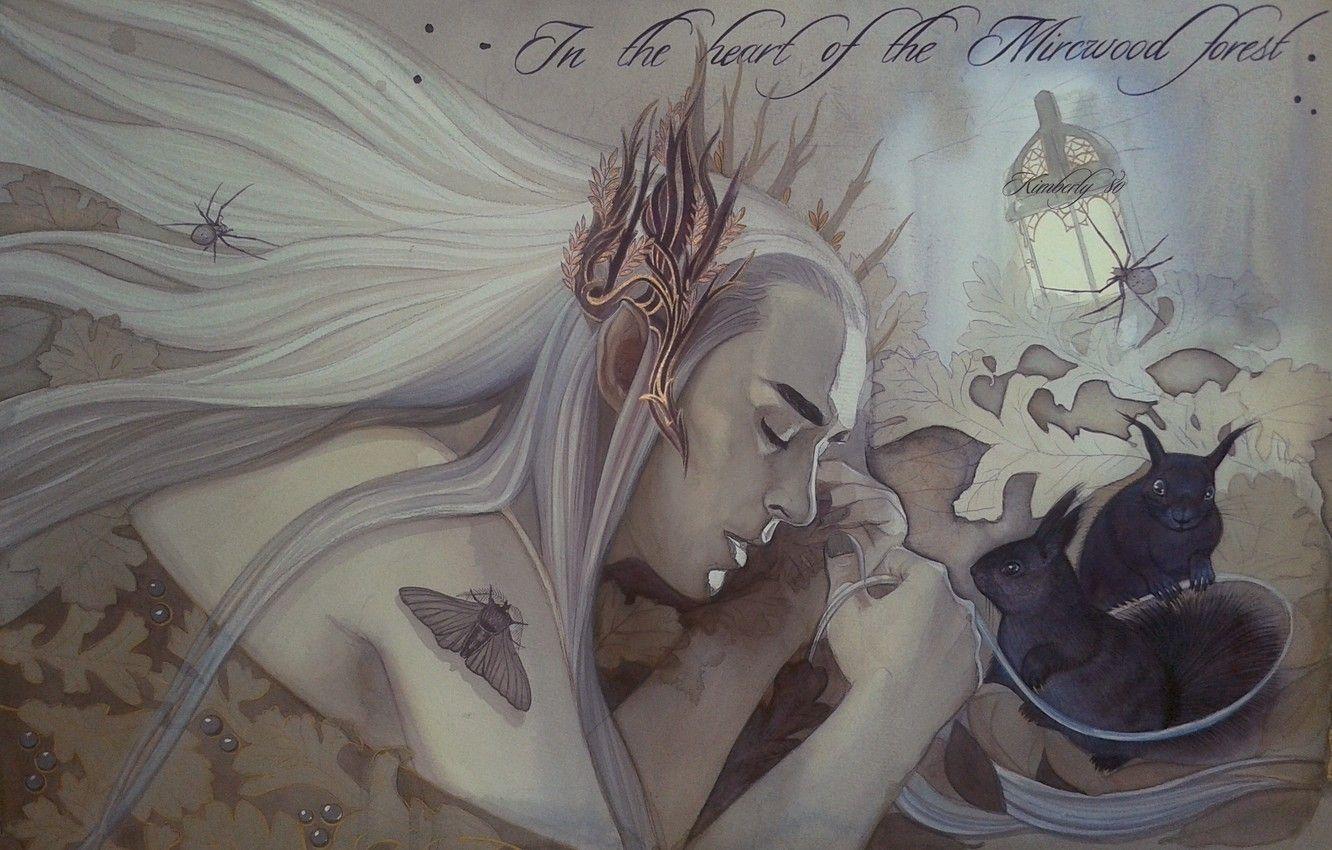 1332x850 Wallpaper elf, crown, King, crown, elf, fanart, fanart