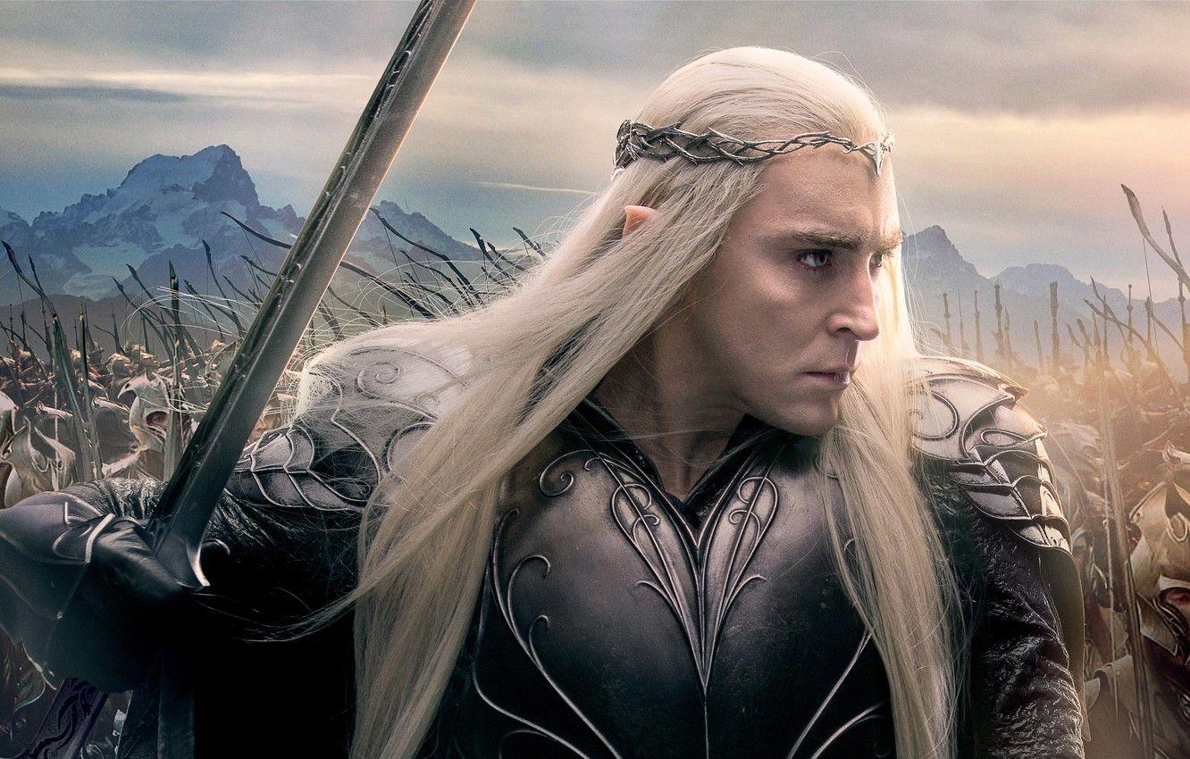 1332x850 Wallpaper sword, armor, fantasy, elves, poster, king, army