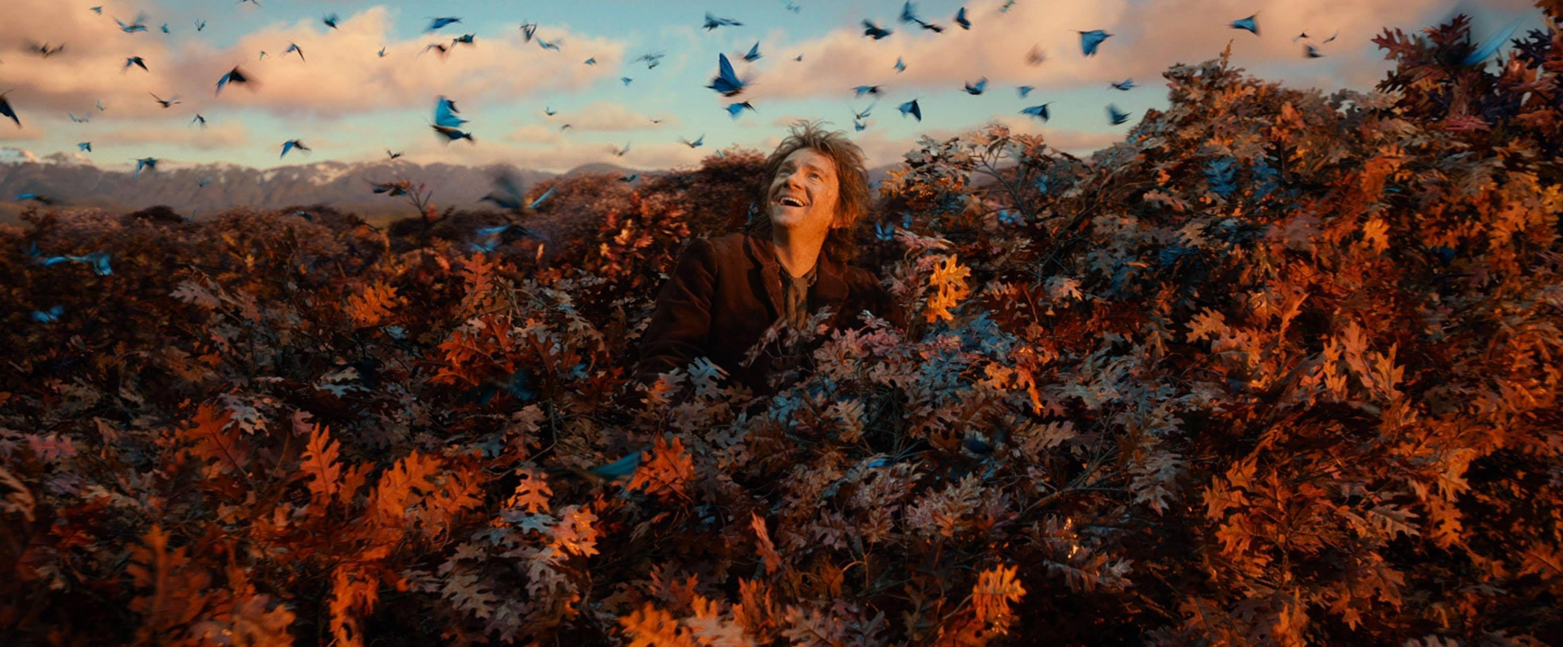 3181x1317 The Hobbit: The Desolation of Smaug. Bilbo above Mirkwood