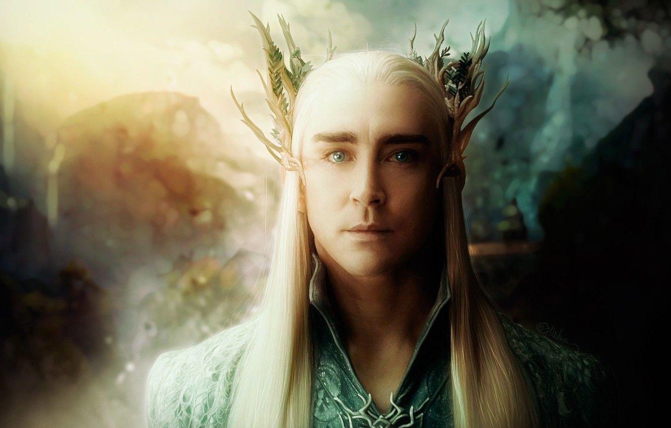 1332x850 Wallpaper The Hobbit, The Desolation of Smaug, Thranduil