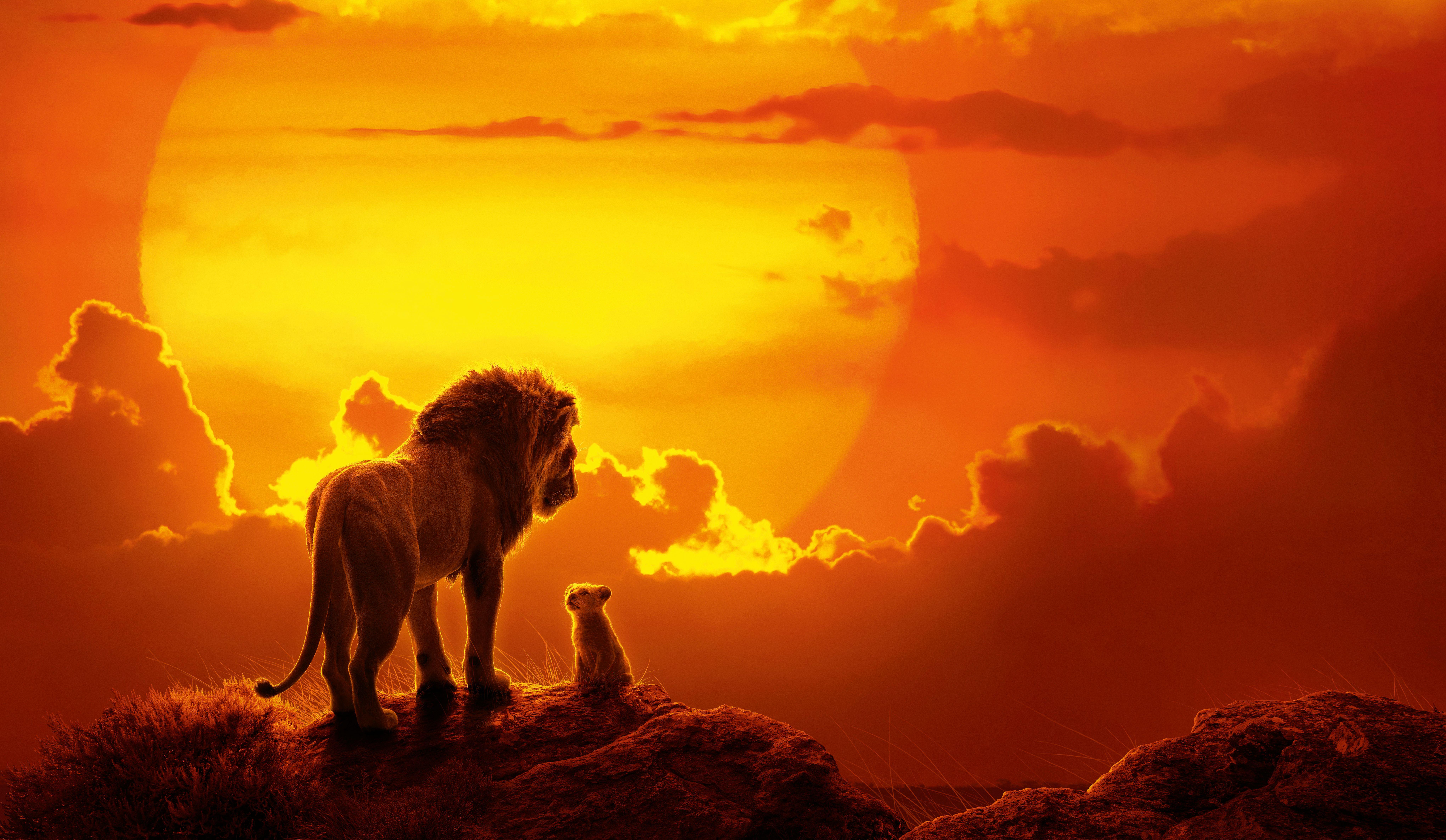8164x4742 The Lion King Movie 8k, HD Movies, 4k Wallpaper, Image