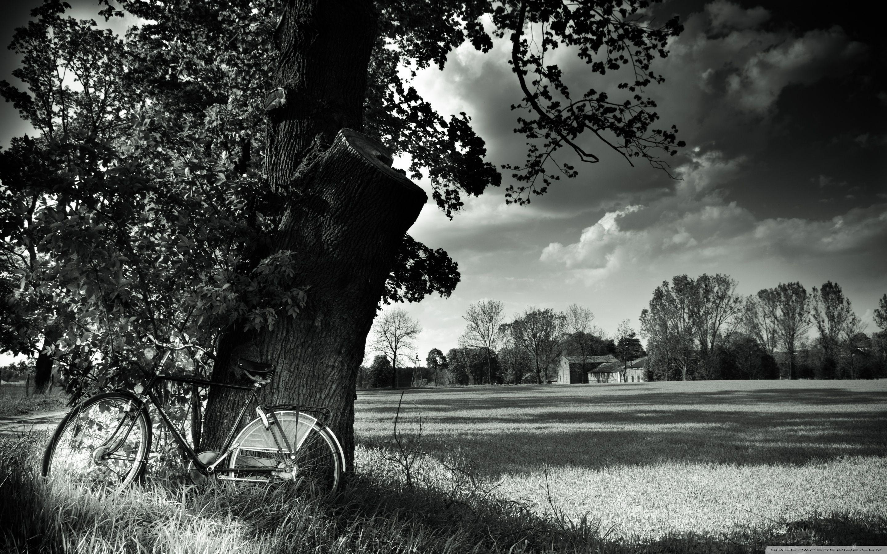 2880x1800 Bike ❤ 4K HD Desktop Wallpaper for 4K Ultra HD TV • Wide