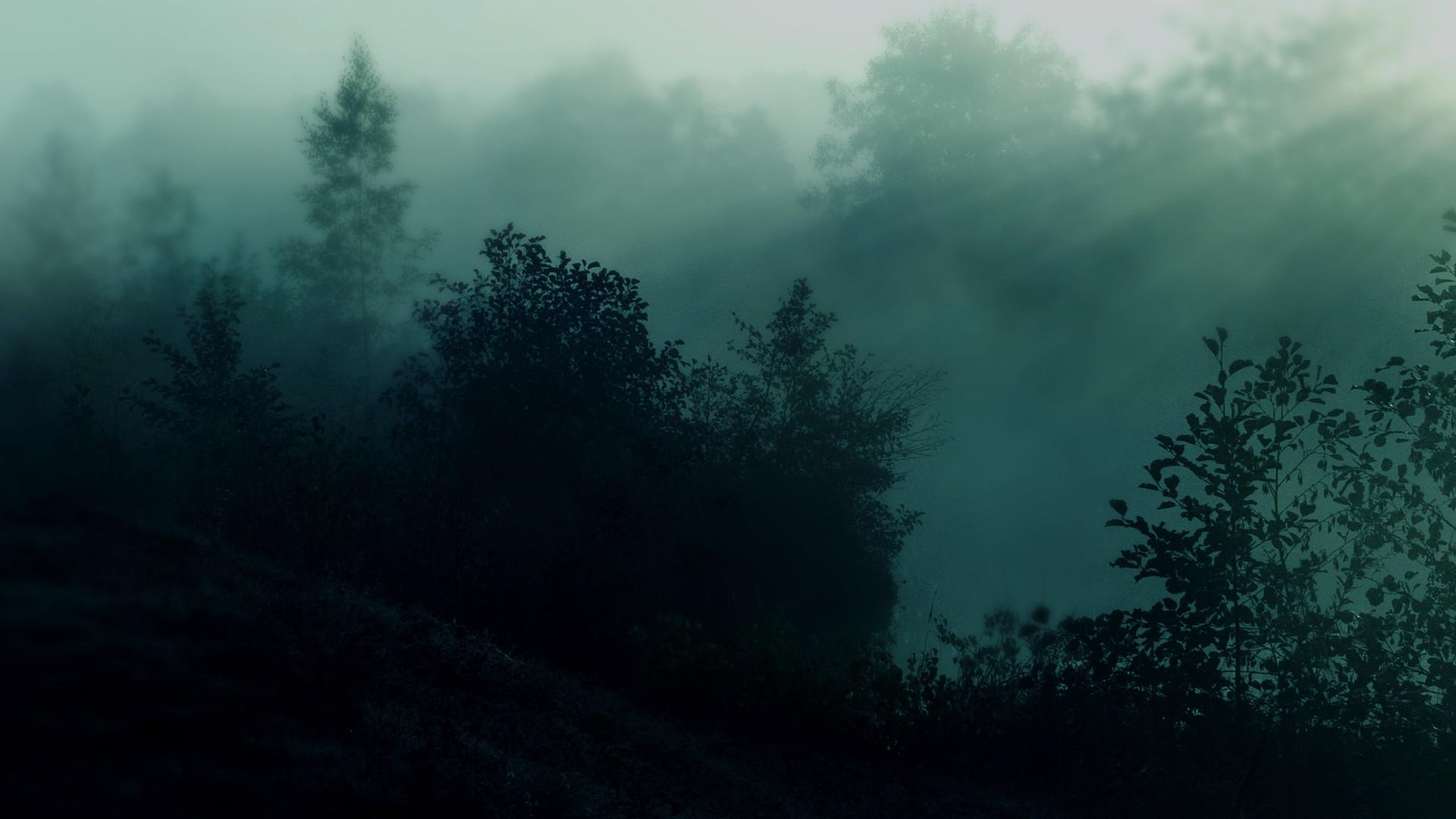 1920x1080 Dark Green Wallpaper