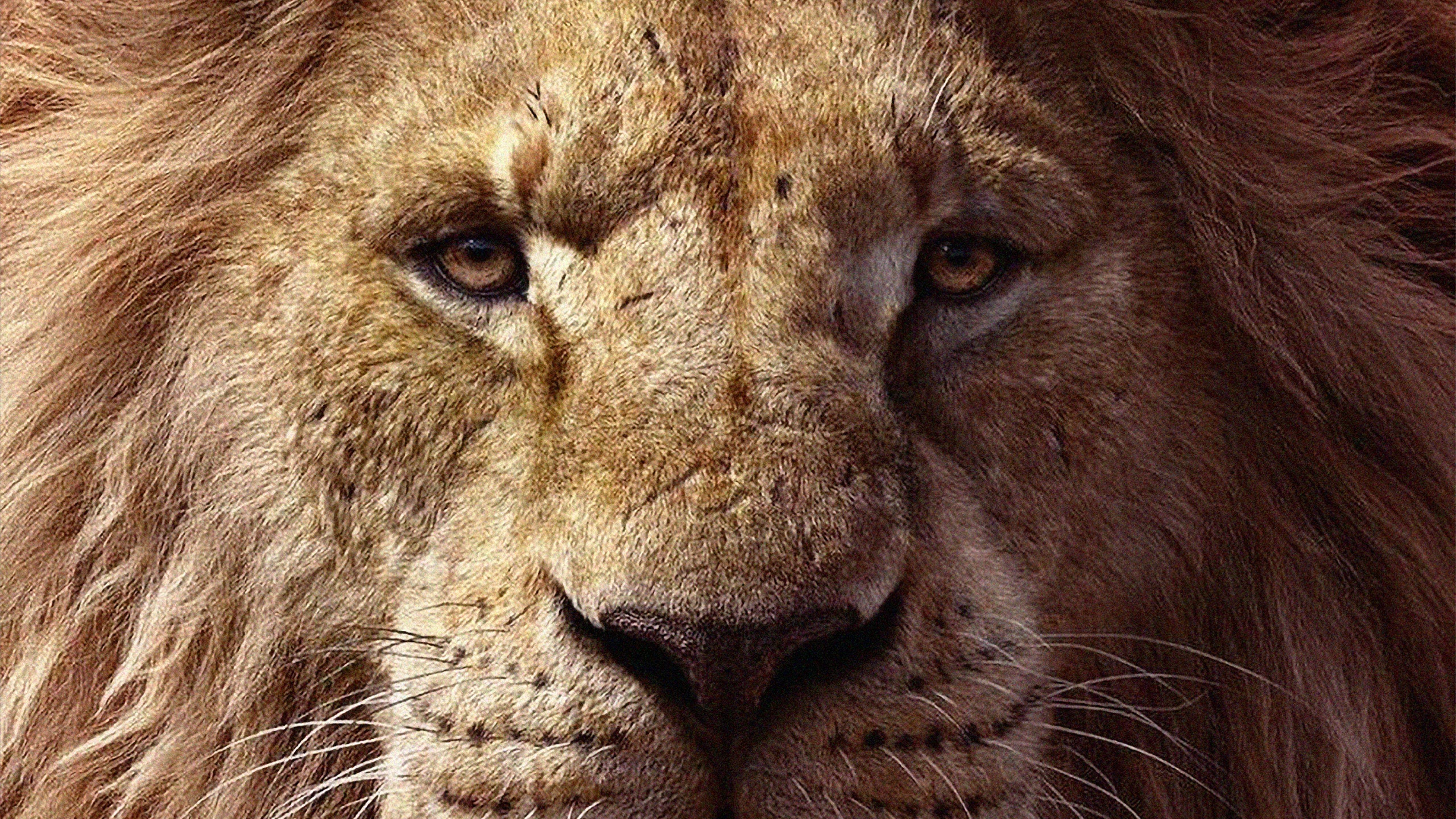 5120x2880 Poster Of The Lion King 5K Wallpaper, HD Movies 4K