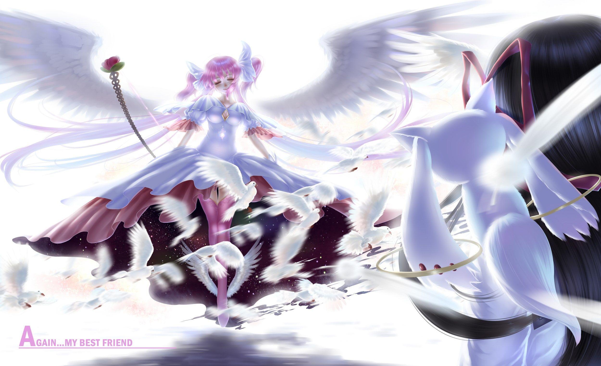 2500x1523 HD wallpaper: puella magi madoka magica