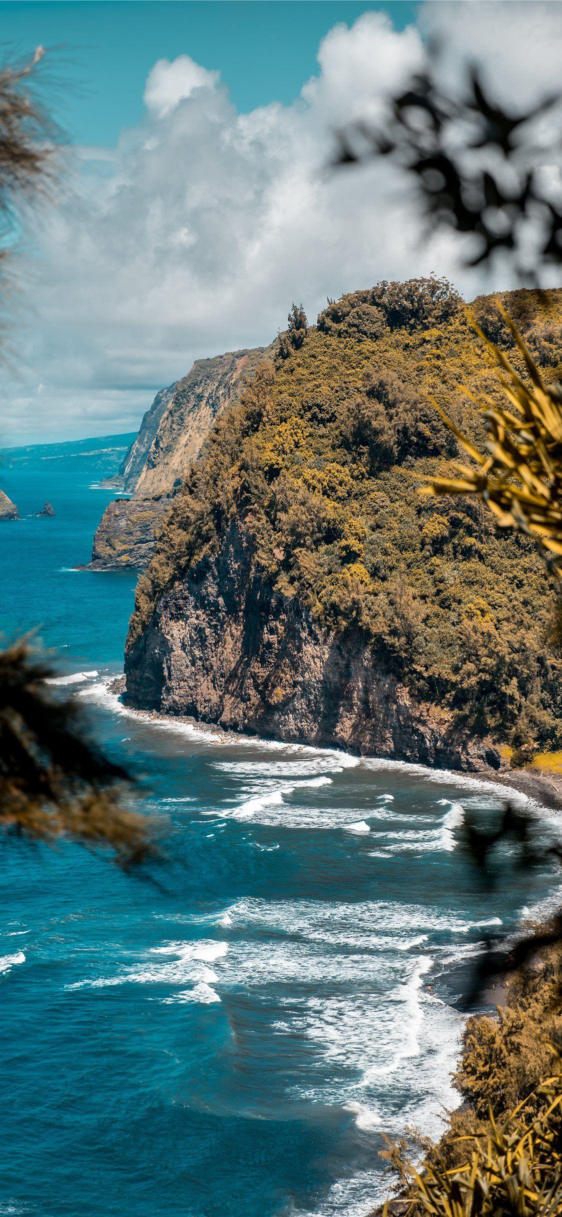 1125x2436 Hawaii Hike Wallpaper Hike In Hawaii iPhone X Wallpaper