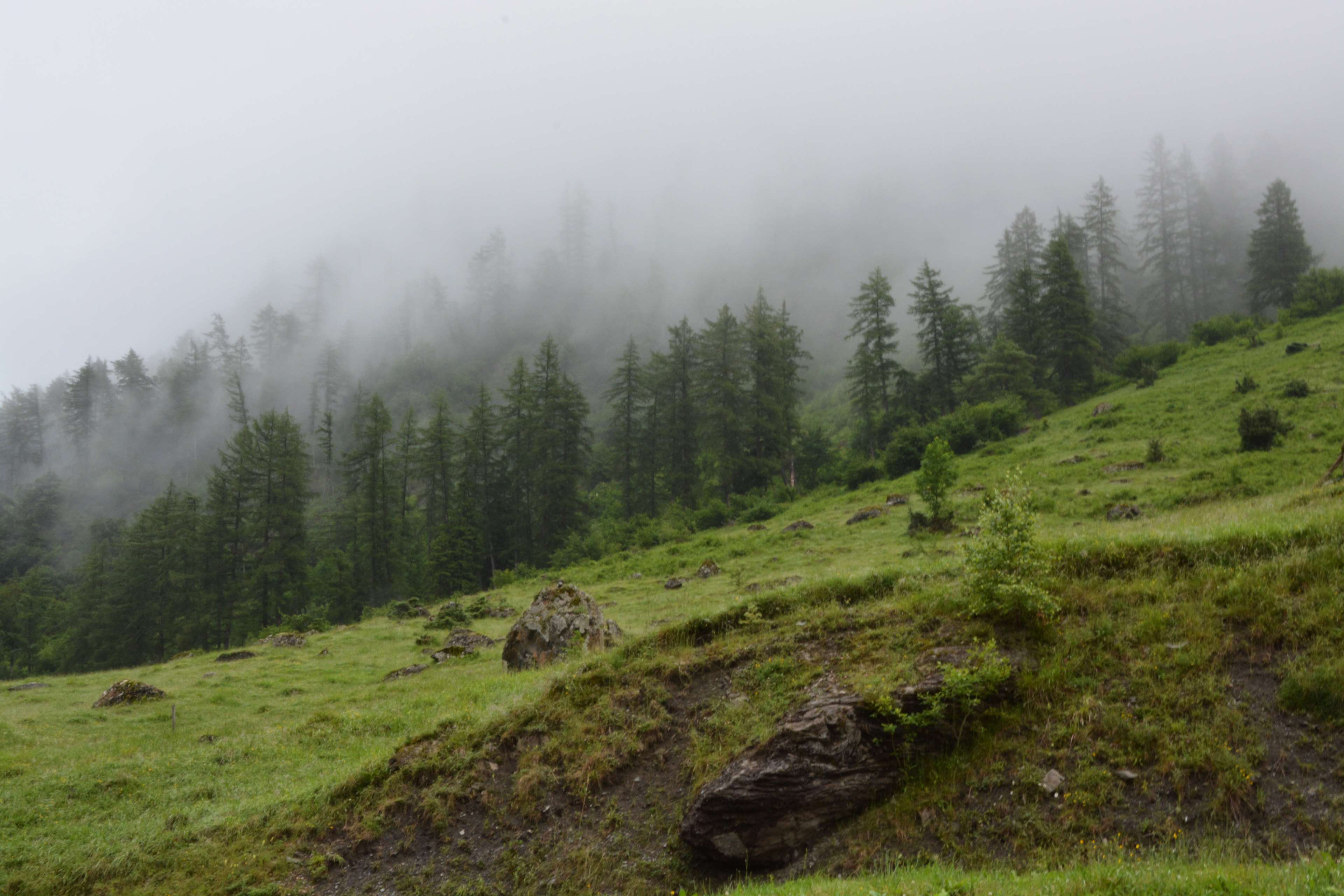 3840x2560 fog, forest, hike, landscape, mist, mountains, nature 4k