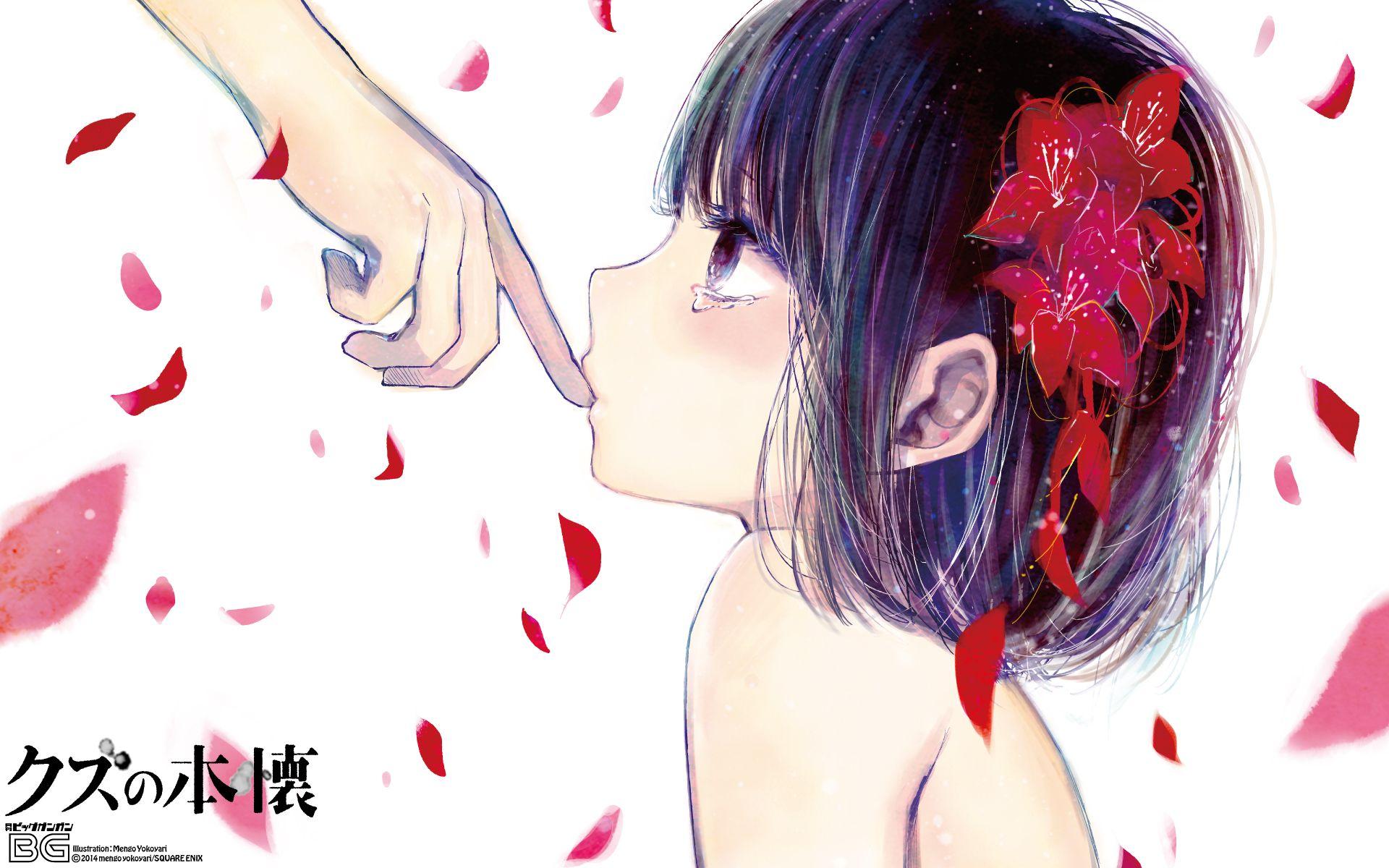 1920x1200 Yasuraoka Hanabi no Honkai