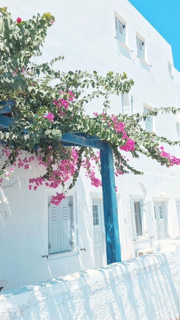 760x1350 Pink flower on Streets of Santorini iPhone wallpaper