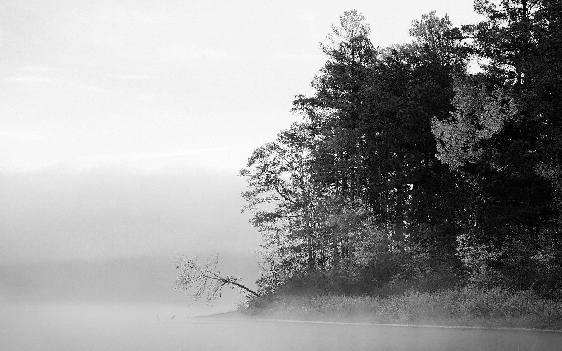 1920x1200 Black and White Computer Background