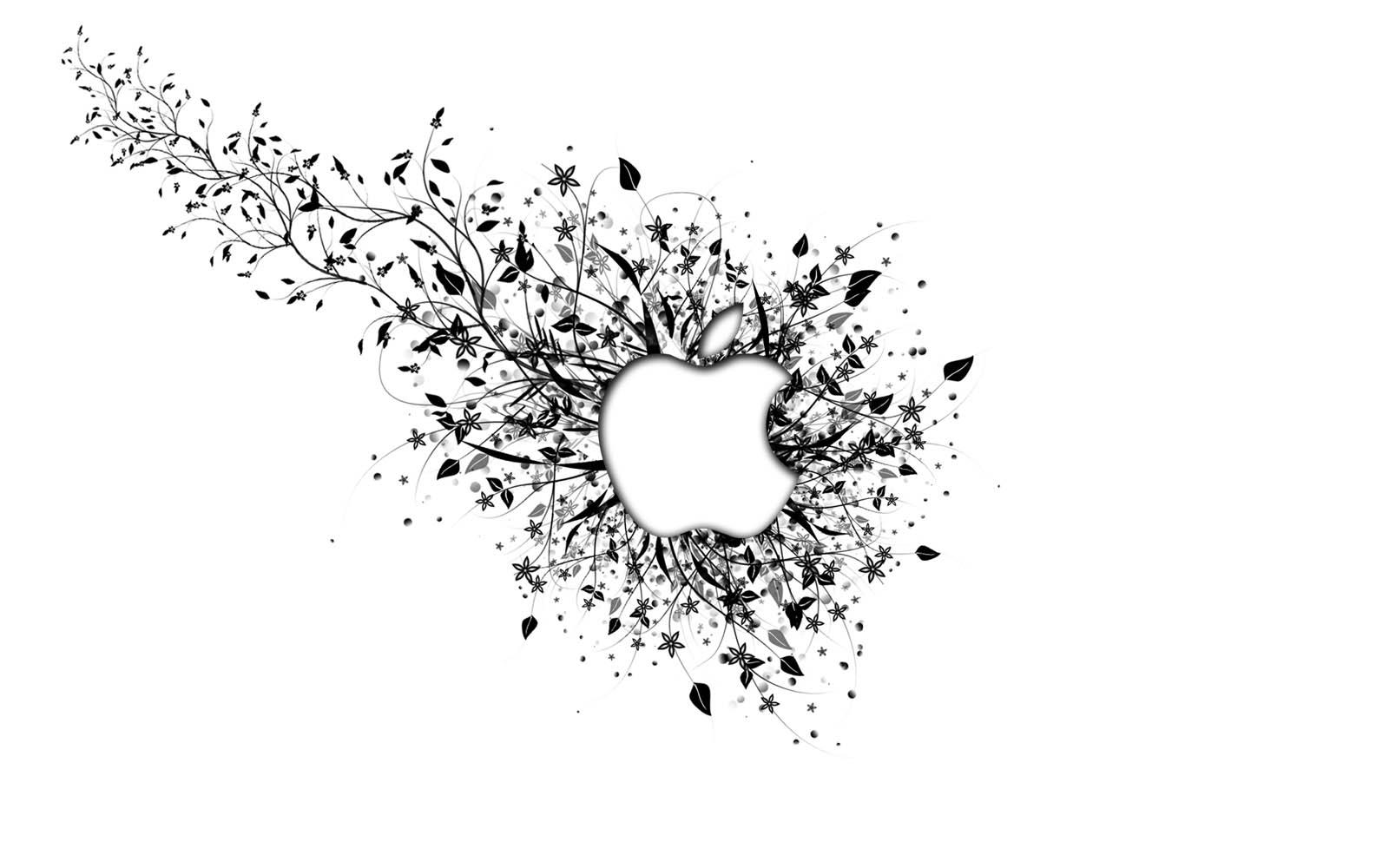 1600x1000 wallpaper: White Background