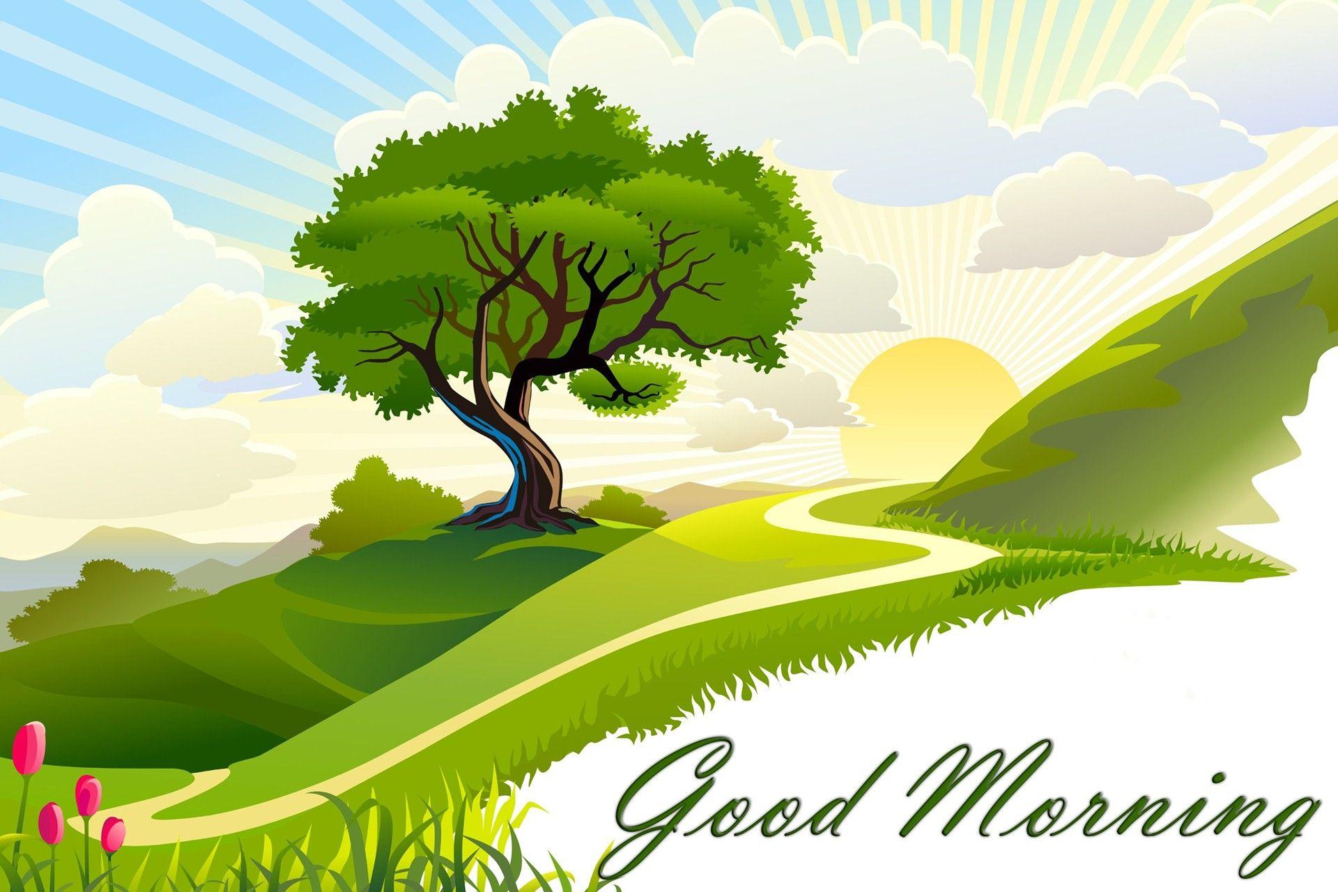 Good Morning Nature Wallpapers - Top Free Good Morning Nature Backgrounds -  WallpaperAccess