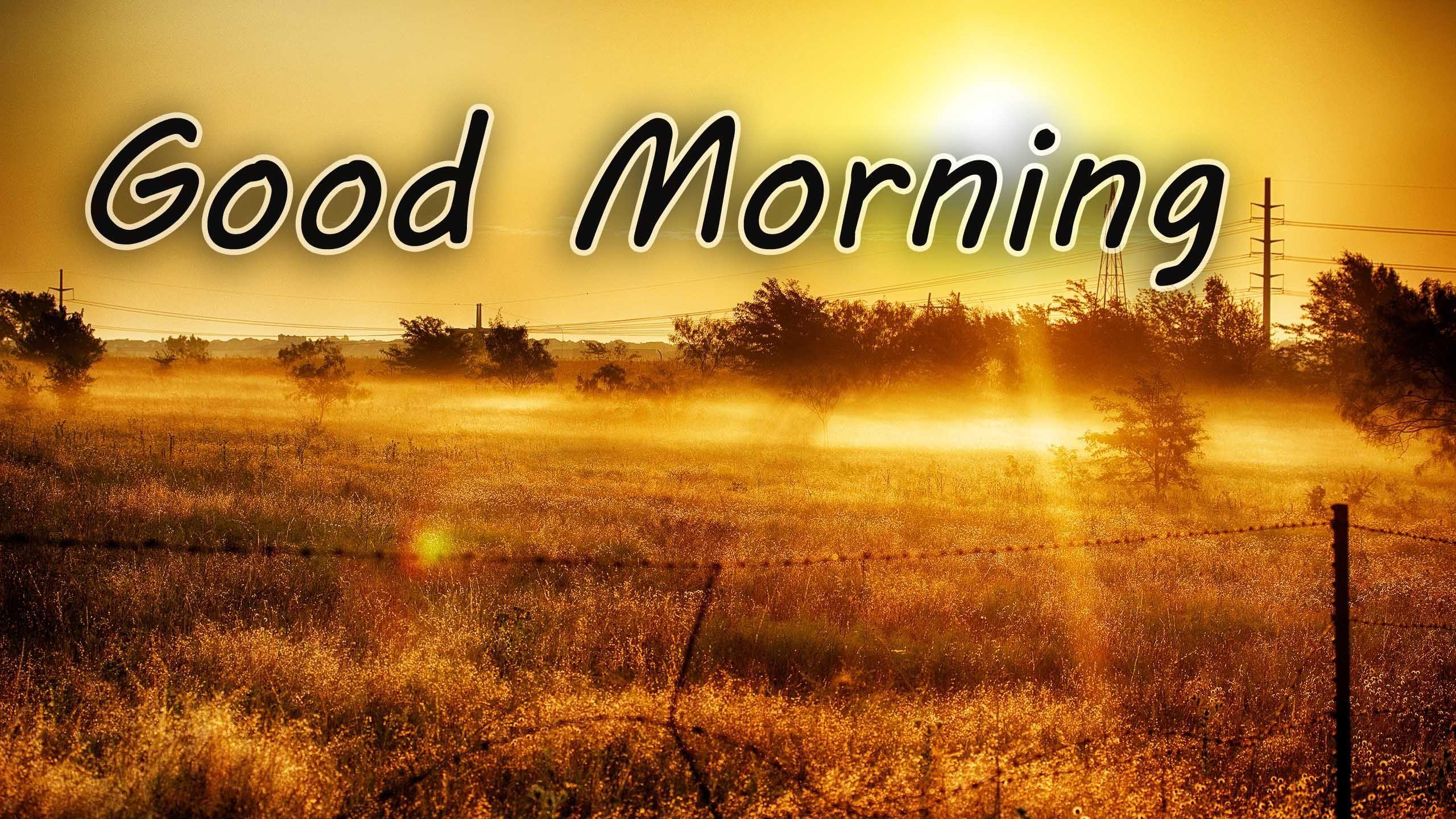 Good Morning Nature Wallpapers - Top Free Good Morning Nature Backgrounds -  WallpaperAccess