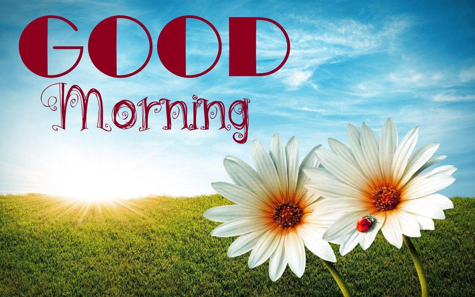 1600x1000 Latest Good Morning Wallpaper Beautiful Good