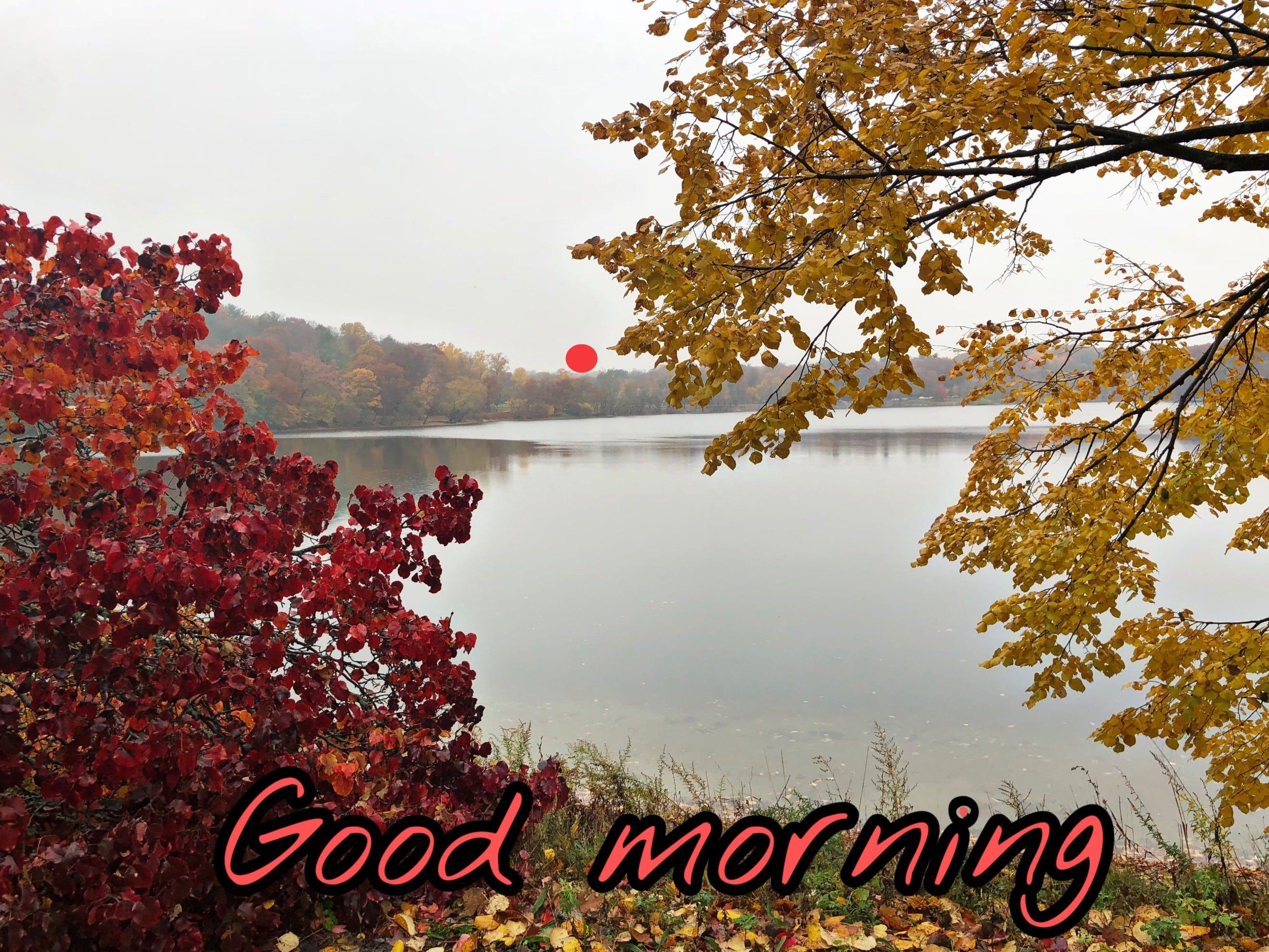 Good Morning Nature Wallpapers Top Free Good Morning Nature