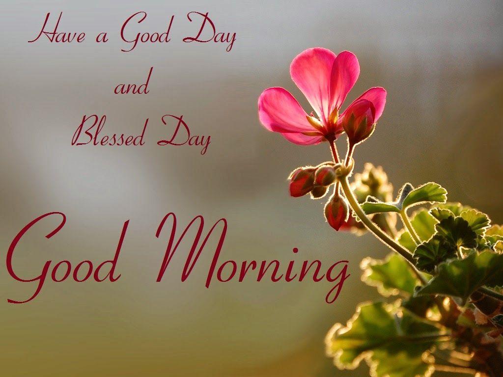 1024x768 Good Morning And Blessed Day Wallpaper