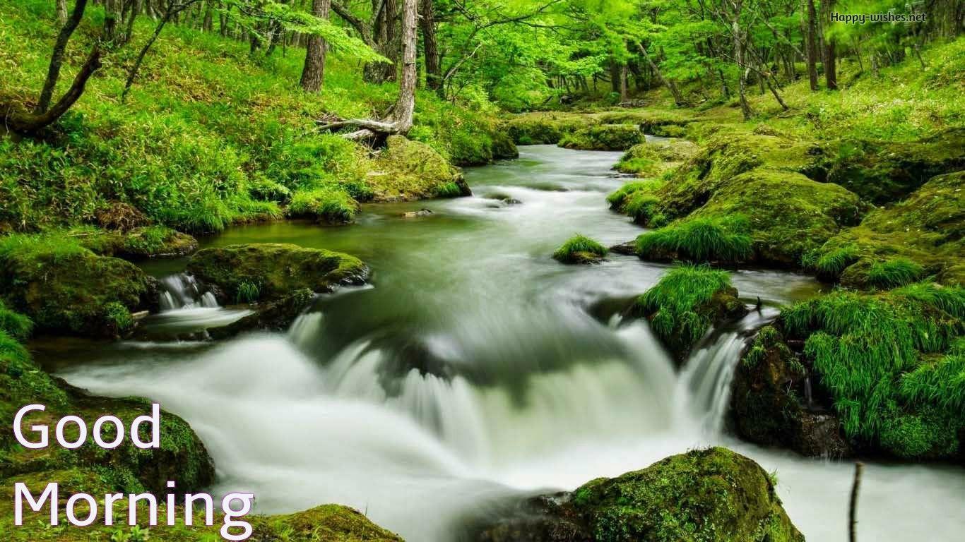 1366x768 Good Morning Nature Image