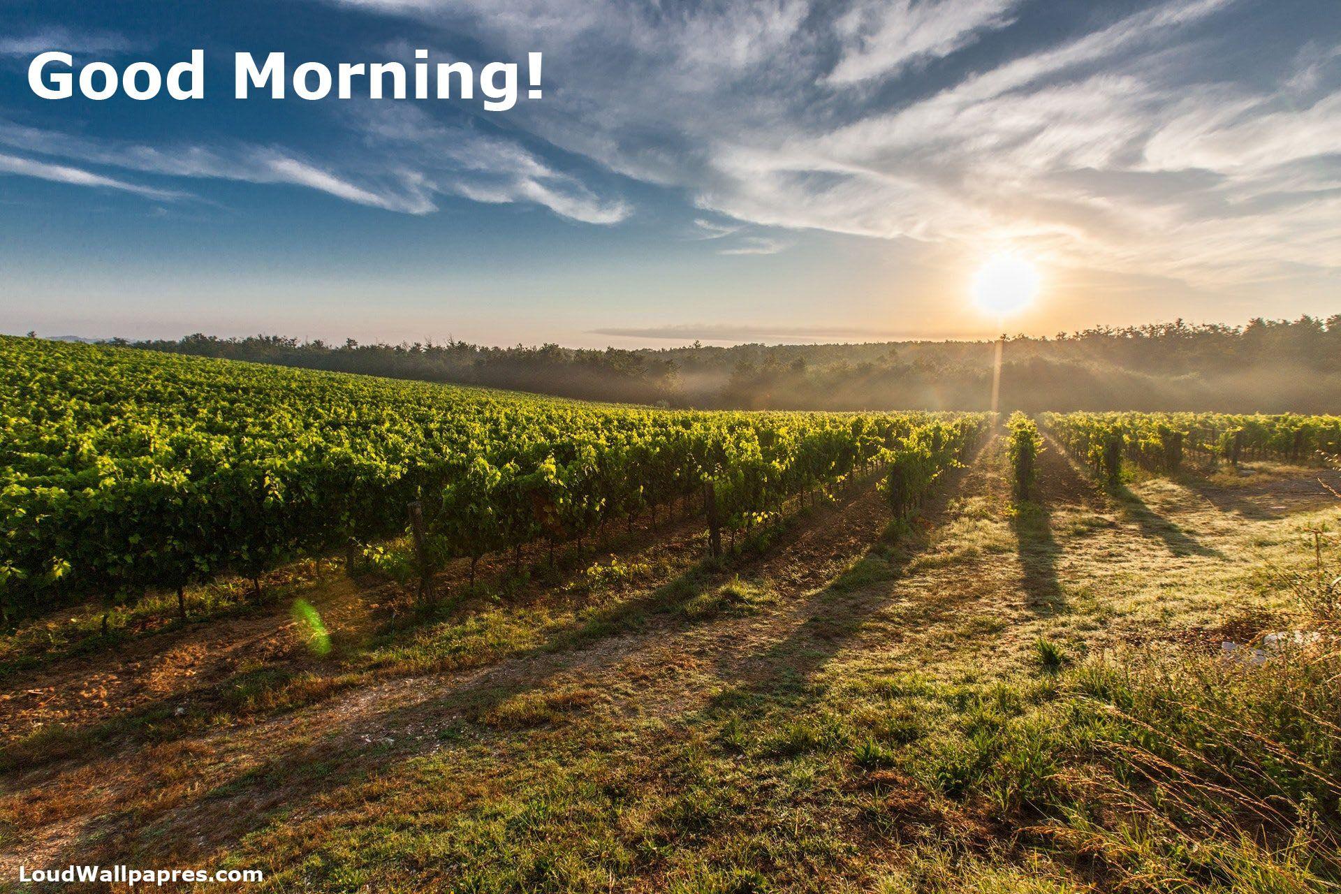 1920x1280 Early Morning Village HD Wallpaper With Quotes