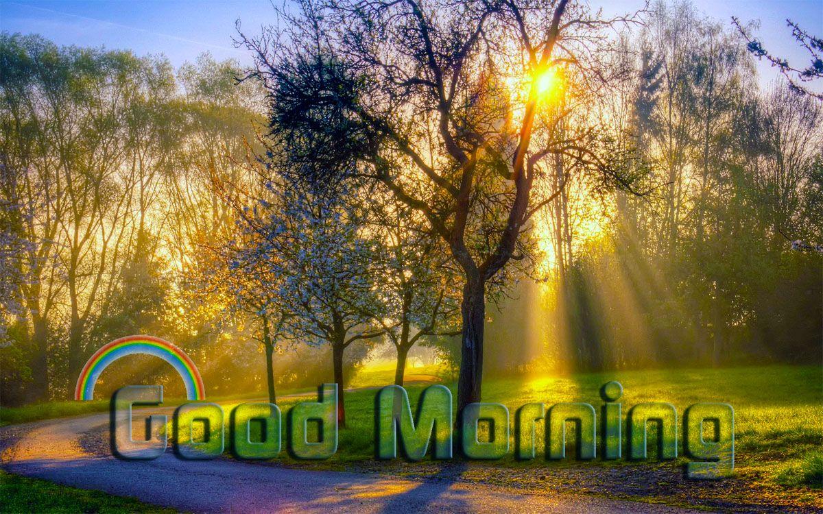 1200x750 Nature Morning With Rainbow Wallpaper