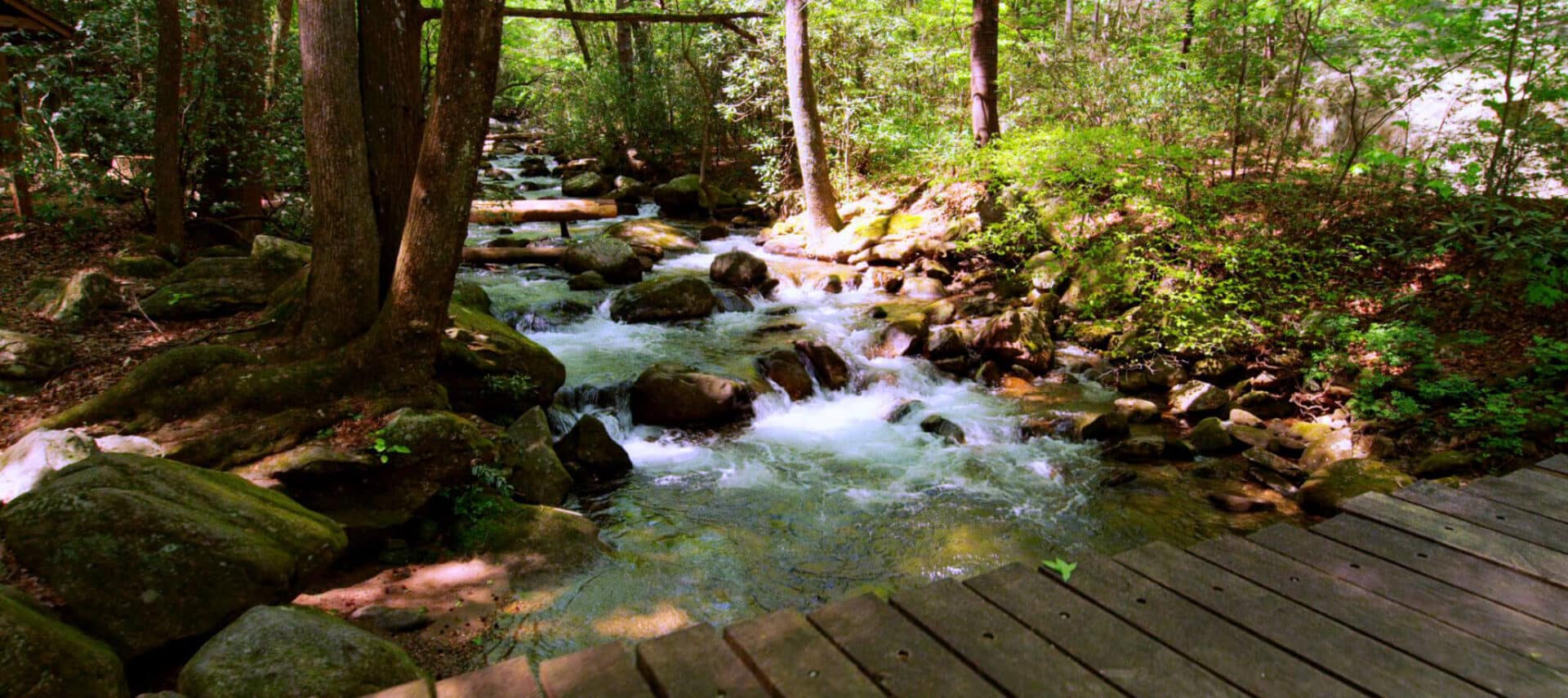 1920x855 June Innside Scoop of Fun Things to do