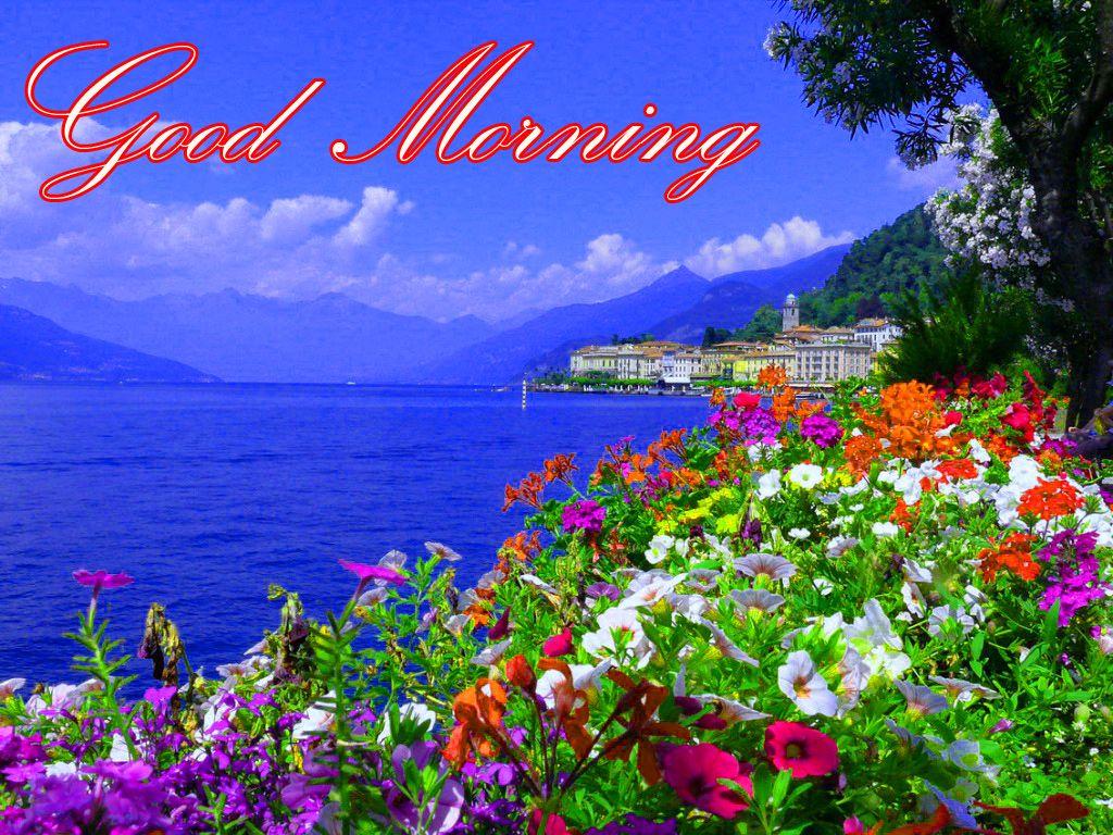 1024x768 Morning Wallpaper