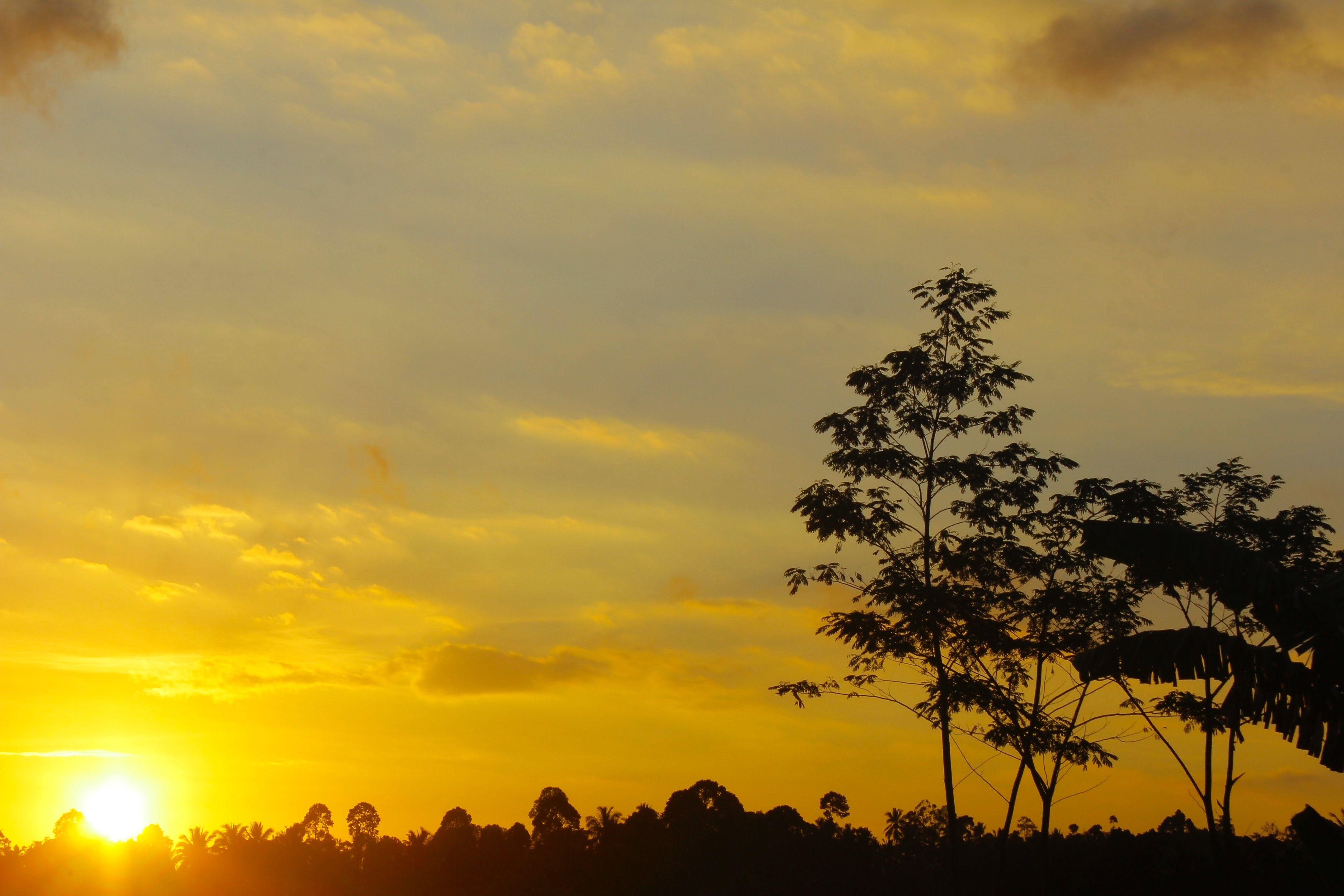 Early Morning Wallpapers - Top Free Early Morning Backgrounds - WallpaperAccess Early Morning Wallpapers - Top Free Early Morning Backgrounds - WallpaperAccess