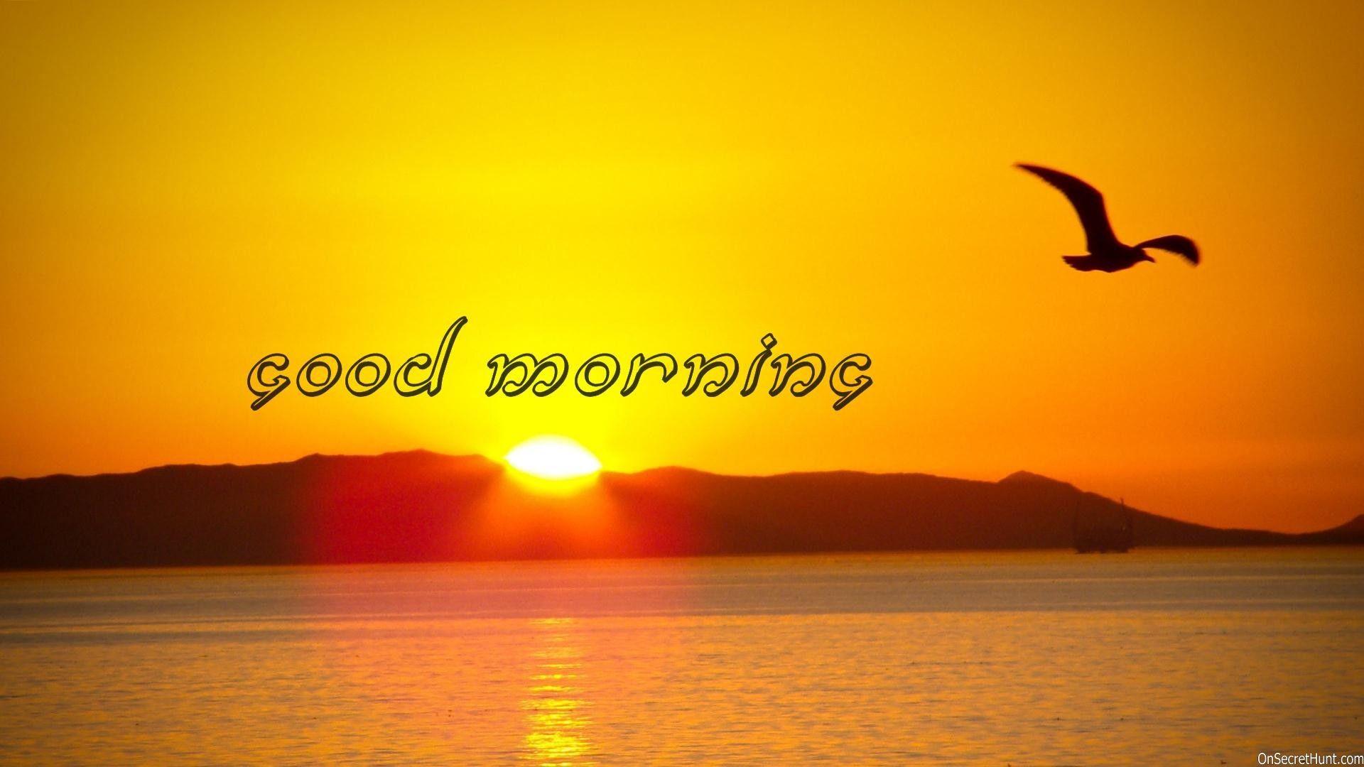 1920x1080 Free Good Morning Wallpaper Download Wallpaper
