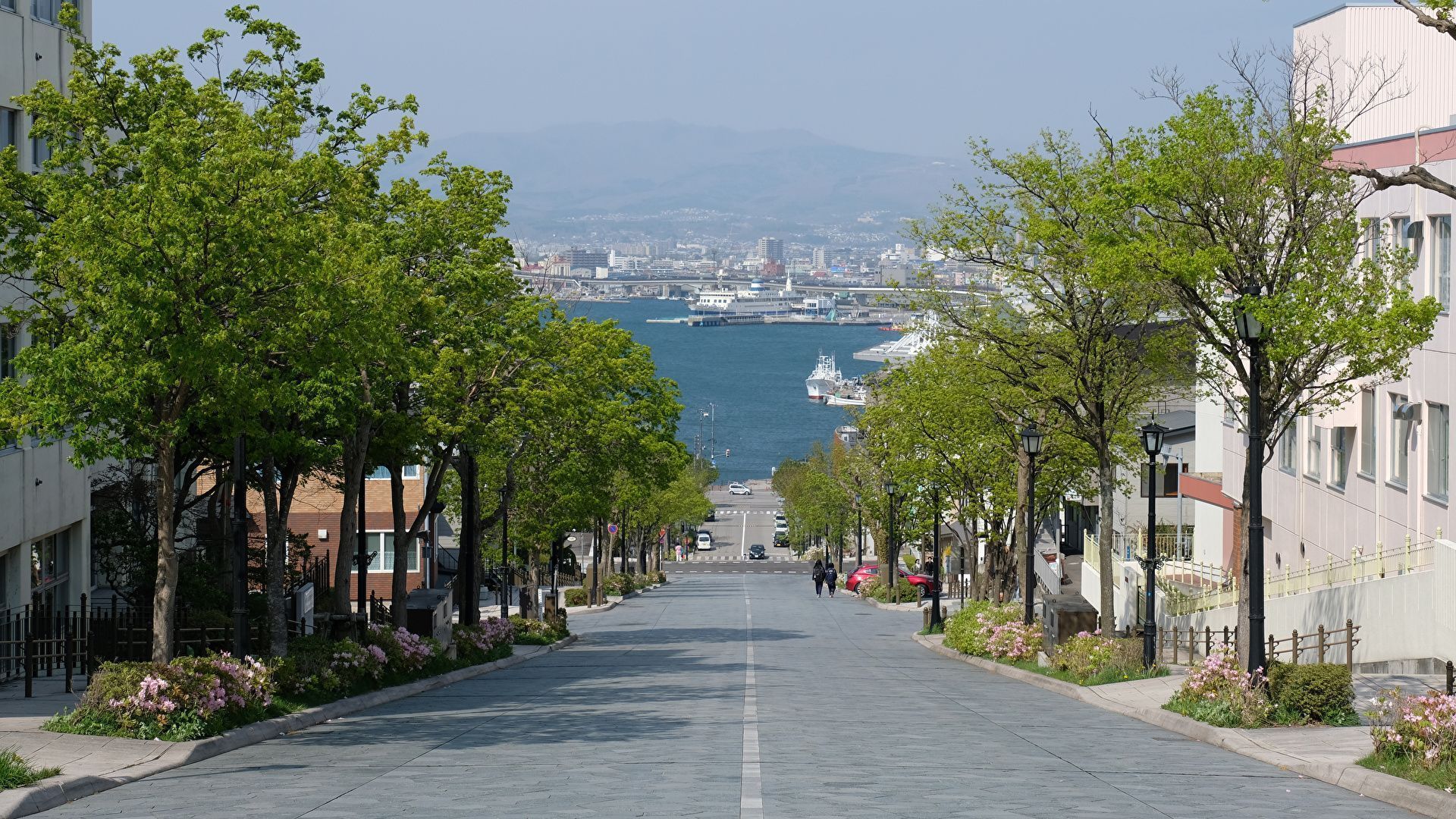 1920x1080 Image Japan Hakodate Roads Street Trees