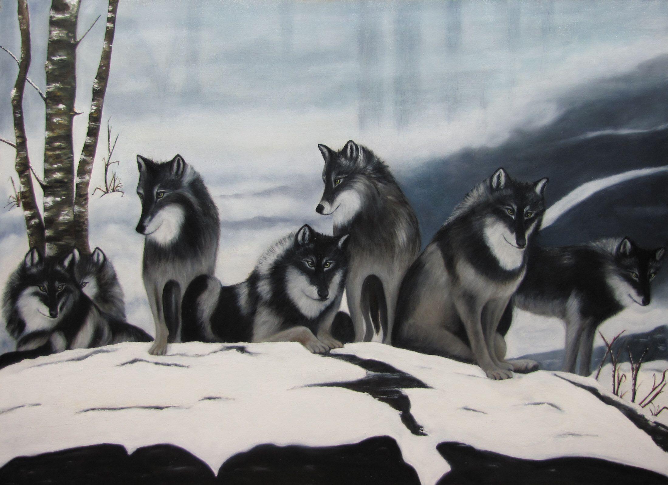 2199x1597 Wolf Pack Wallpaper Gallery (84 Plus) PIC WPW5011465
