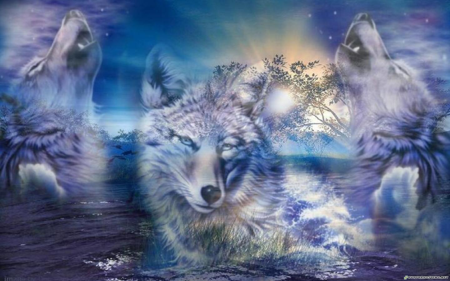 1440x900 Wolves Wallpaper