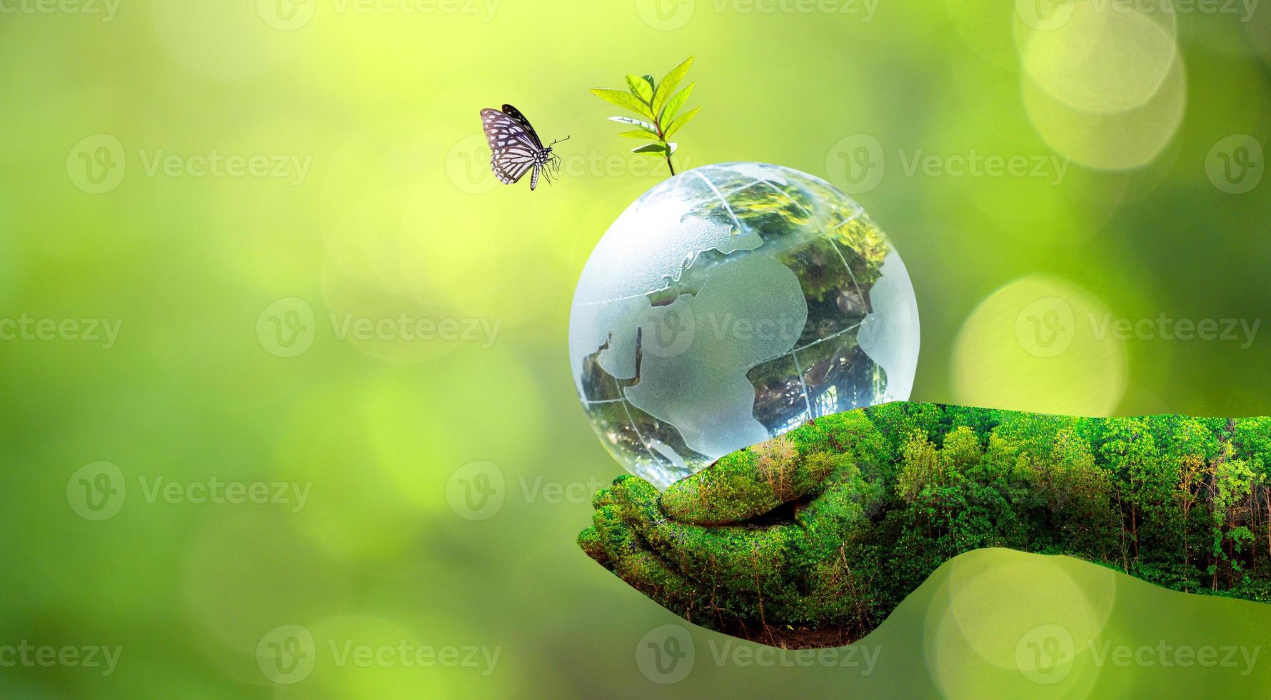 1780x980 Concept of save the world, save the environment