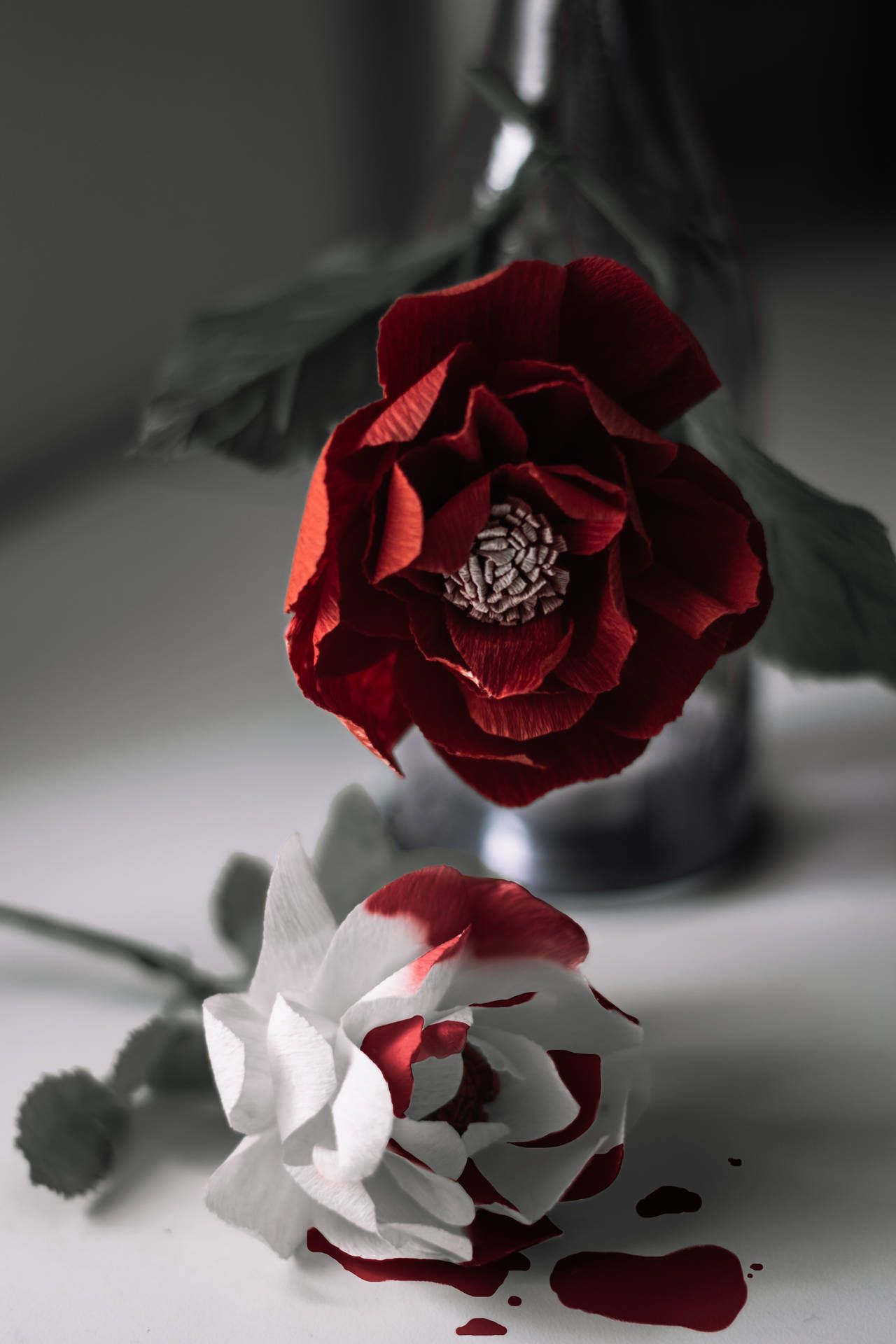 1280x1920 Download Red And White Roses With Blood