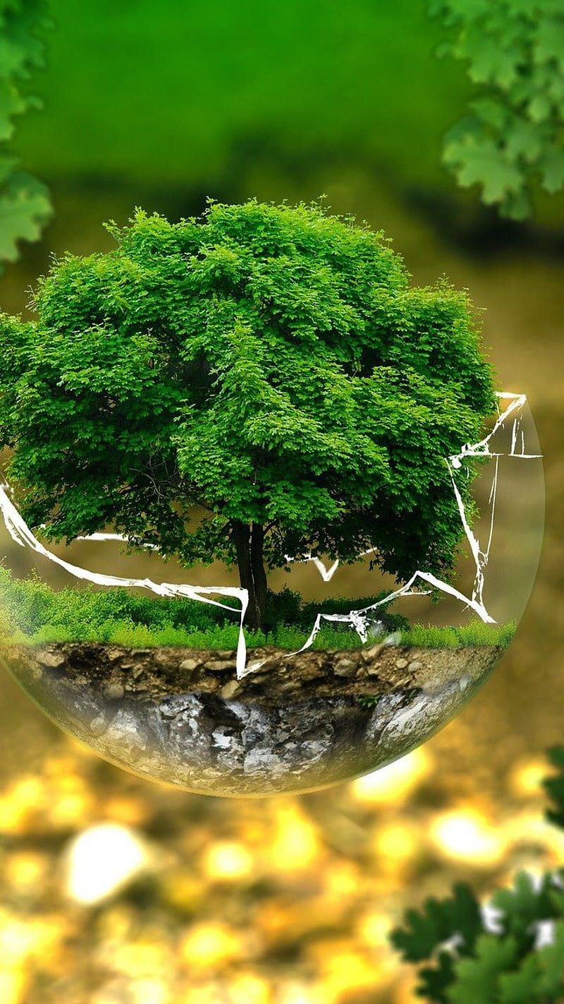 800x1422 HD protect the environment wallpaper