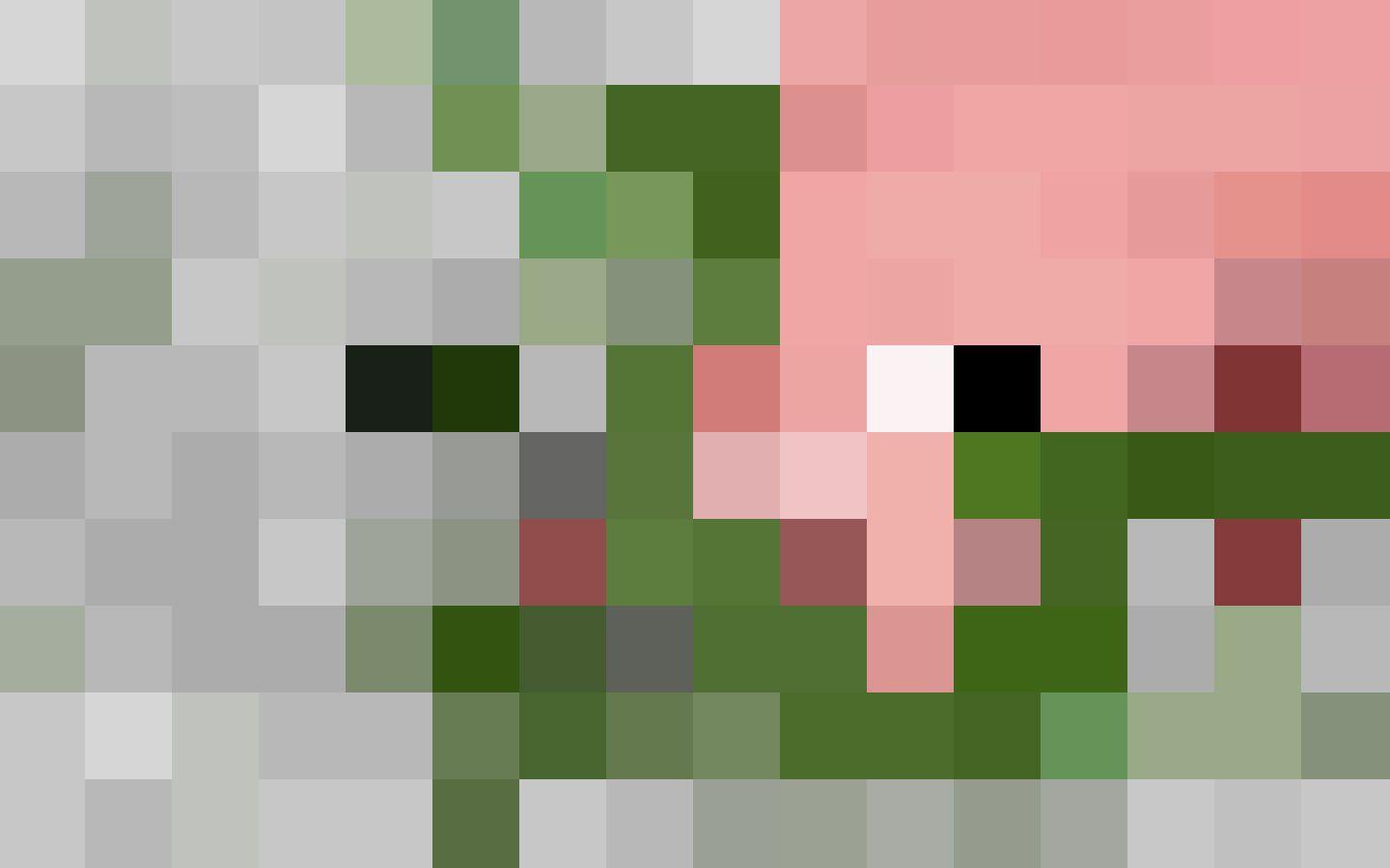 Khuôn mặt người lợn thây ma 1440x900 minecraft.  Minecraft chăn bông, Minecraft