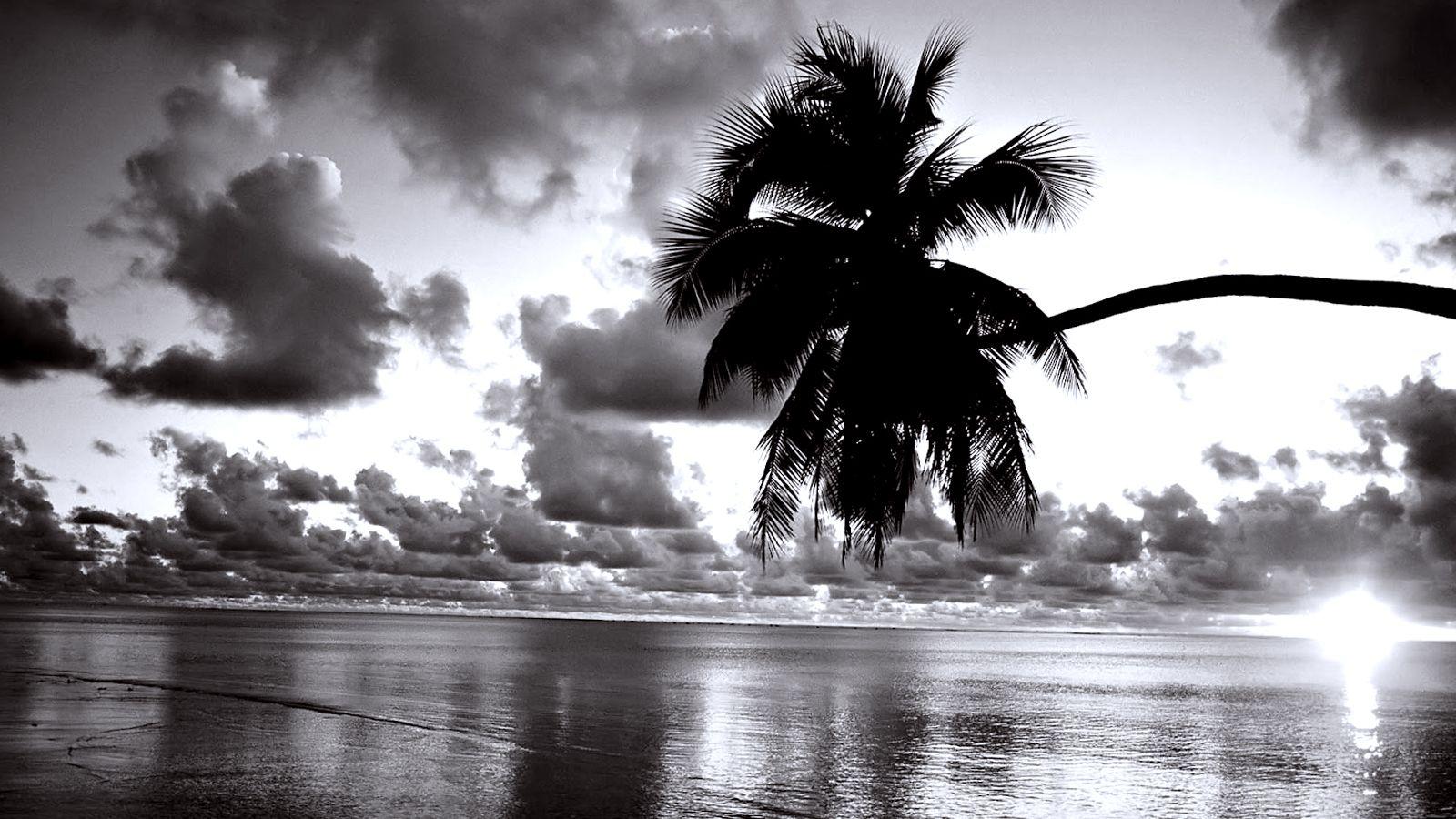 Black and White Beach Computer Wallpapers - Top Free Black and White Beach Computer  Backgrounds - WallpaperAccess