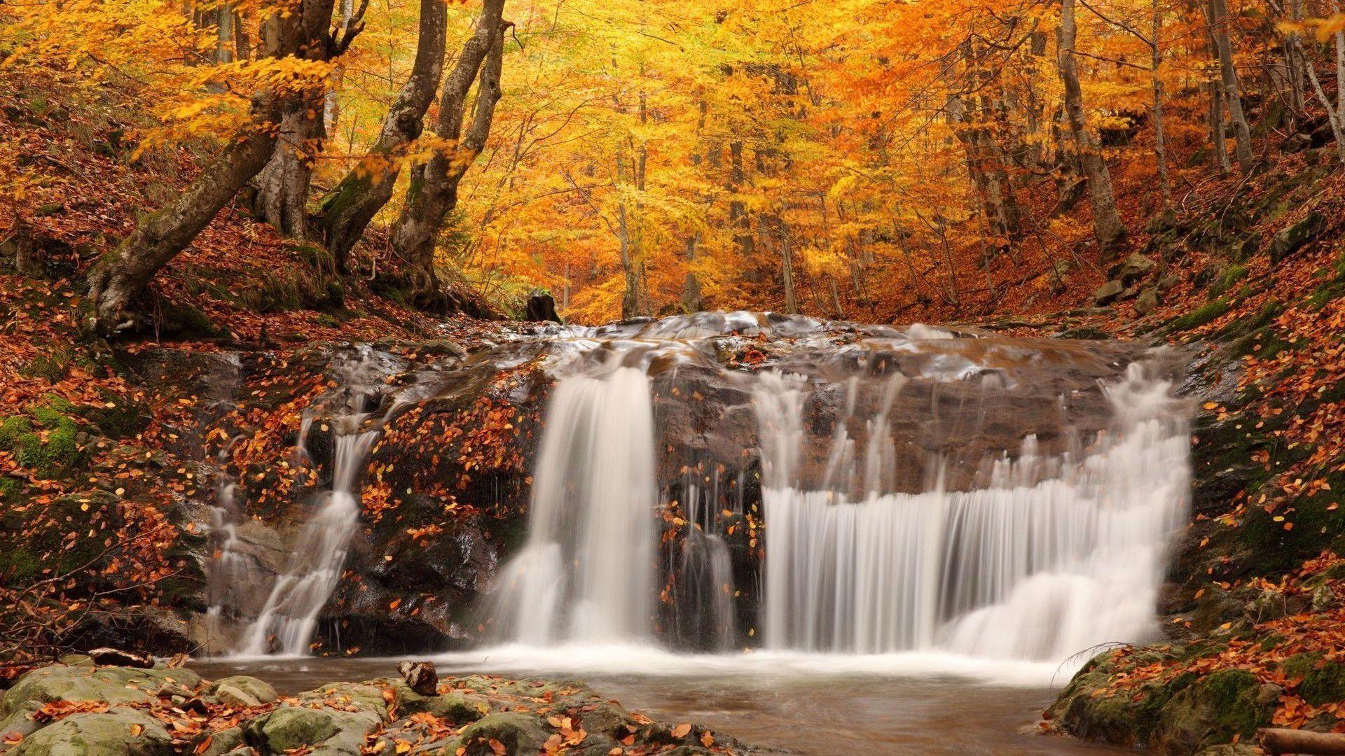 Fall Computer Wallpapers Top Free Fall Computer Backgrounds Fall Computer Wallpapers Top Free Fall Computer Backgrounds