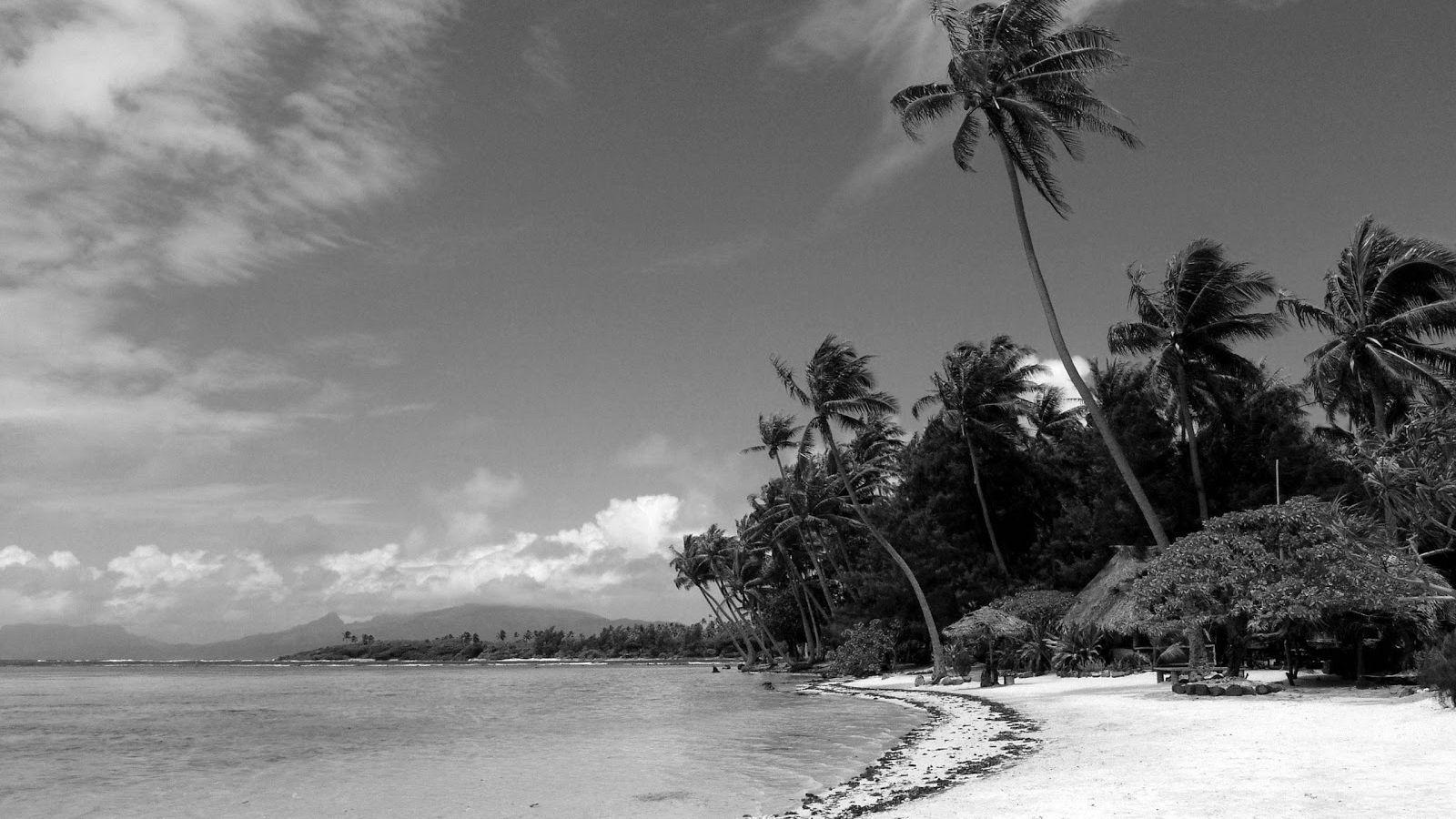 1600x900 Free download Black and White Wallpaper Black and White