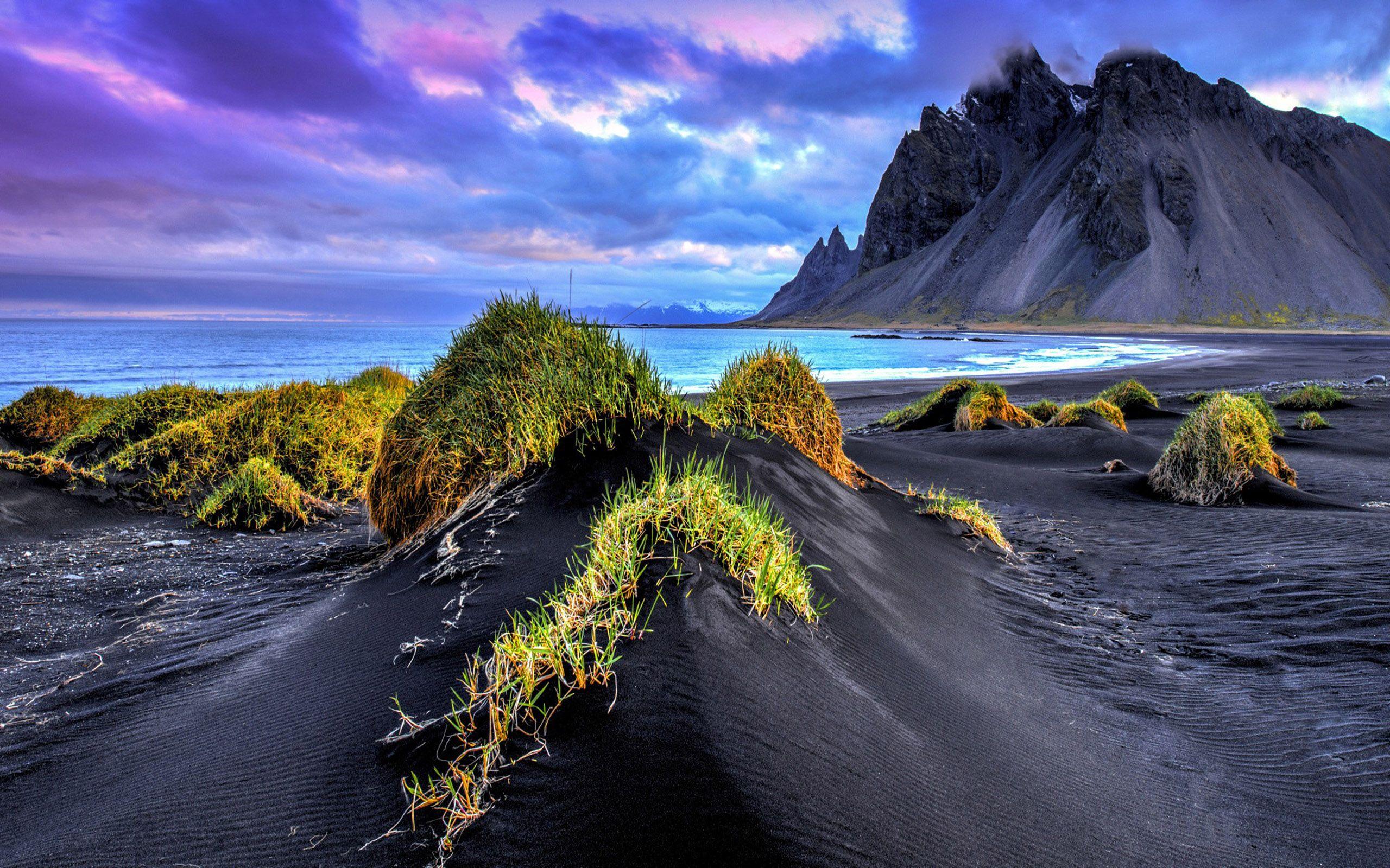 2560x1600 Landscape Nature Iceland Sandy Beach Grass Black Sand Sea