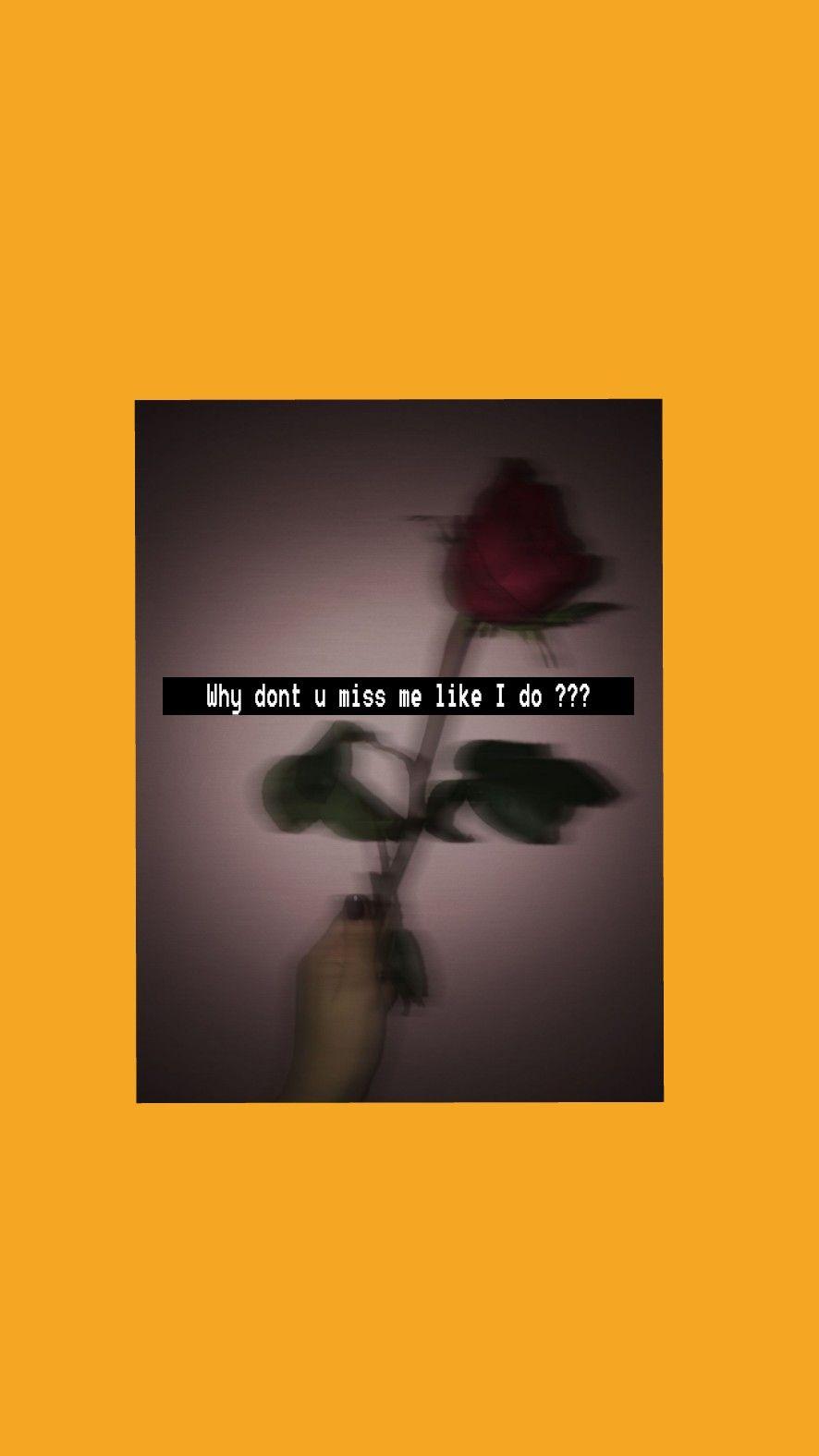 886x1576 aesthetic #yellow #rose #miss #sad #wallpaper #background