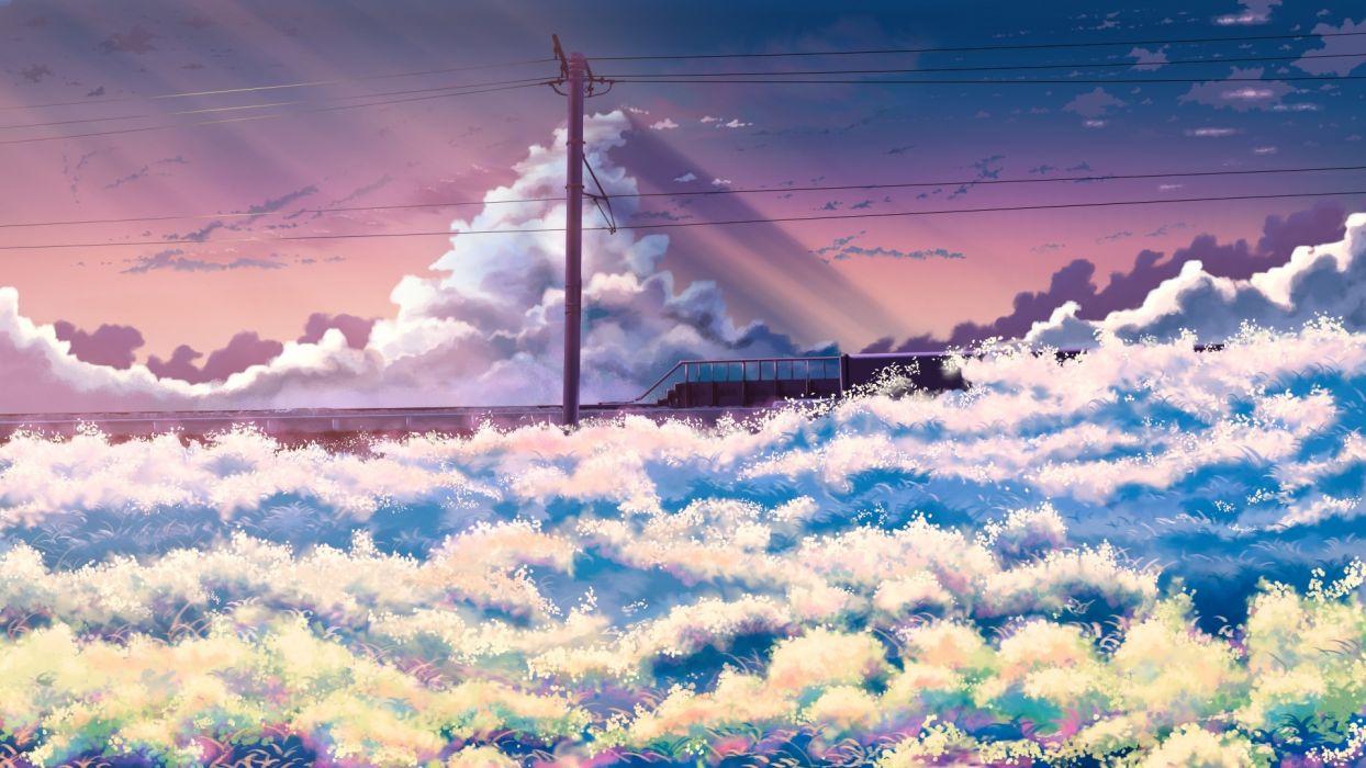 Hình nền 1244x700 Anime Phong cảnh Hoa Cánh đồng Đám mây Bầu trời