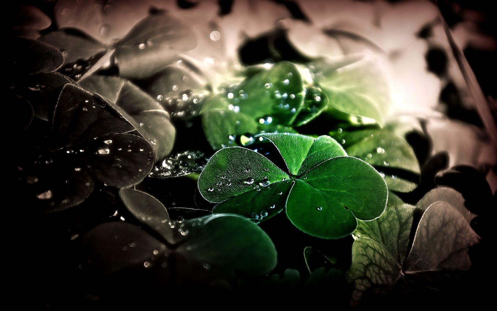Good Luck Wallpapers Top Free Good Luck Backgrounds WallpaperAccess