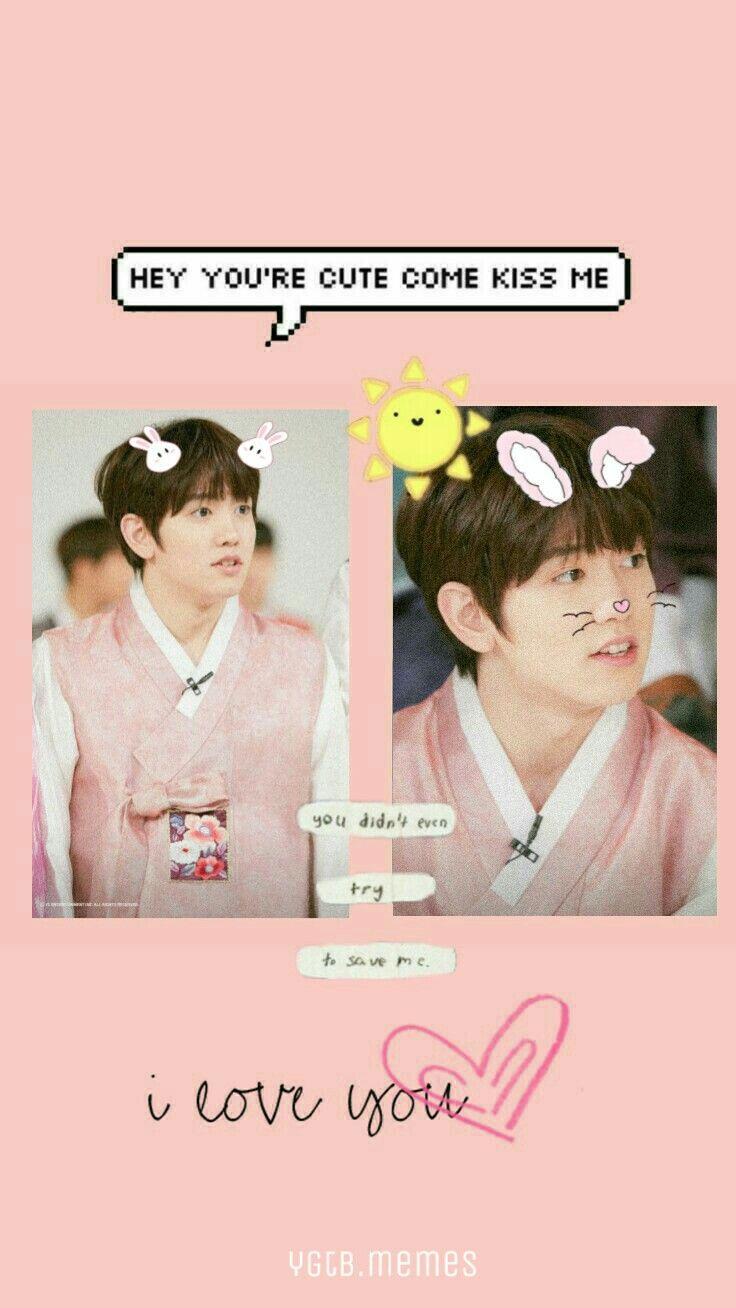 736x1308 Treasure 13 Wallpaper