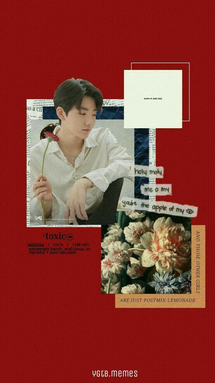 736x1308 TREASURE #BOX #KIMJUNKYU #JUNKYU #KOALA #HANDSOMEKOALA