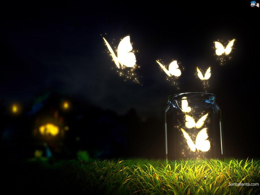 1024x768 Photography Wallpaper